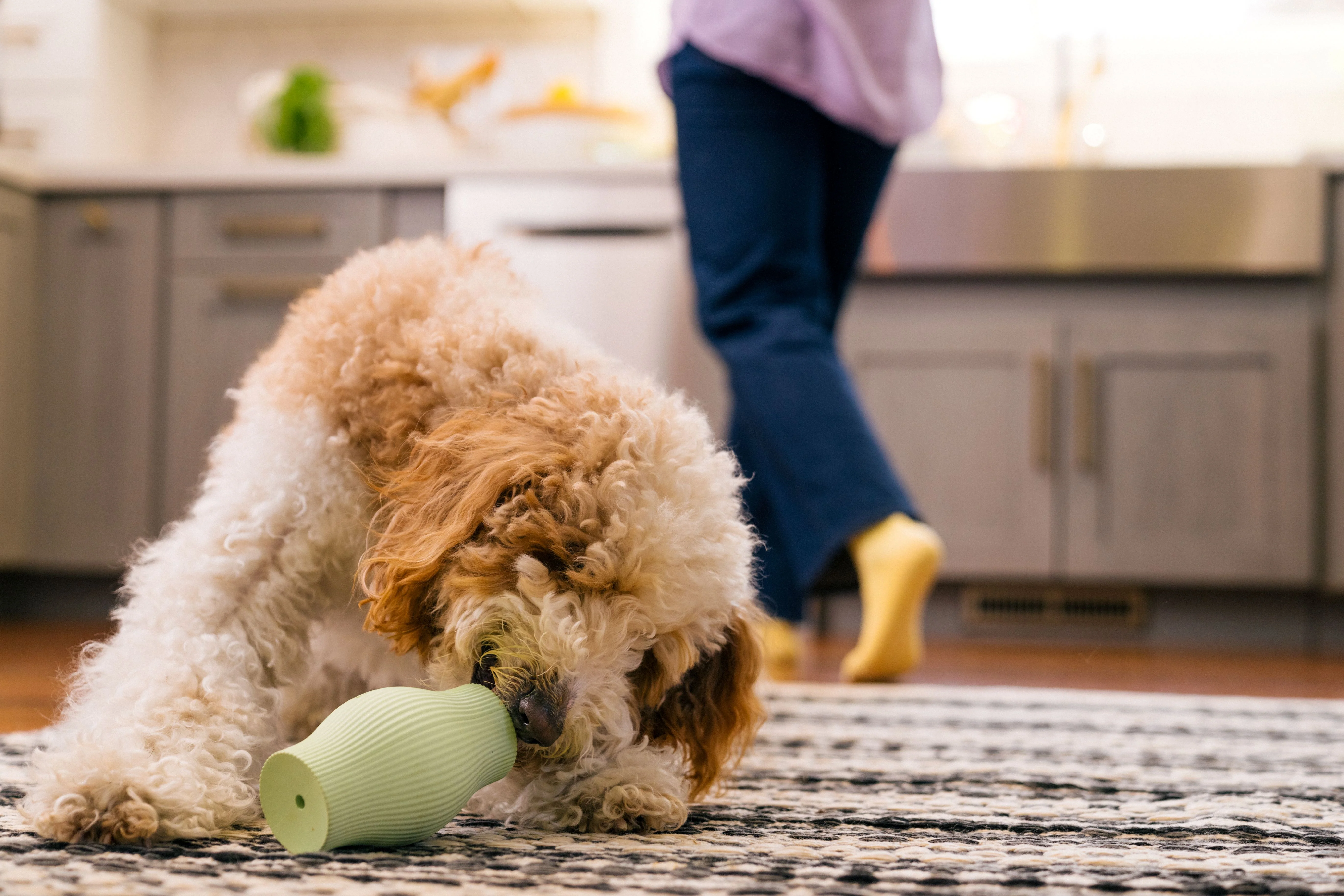Earth Rated Treat Toy Rubber (2 sizes) - Image 7