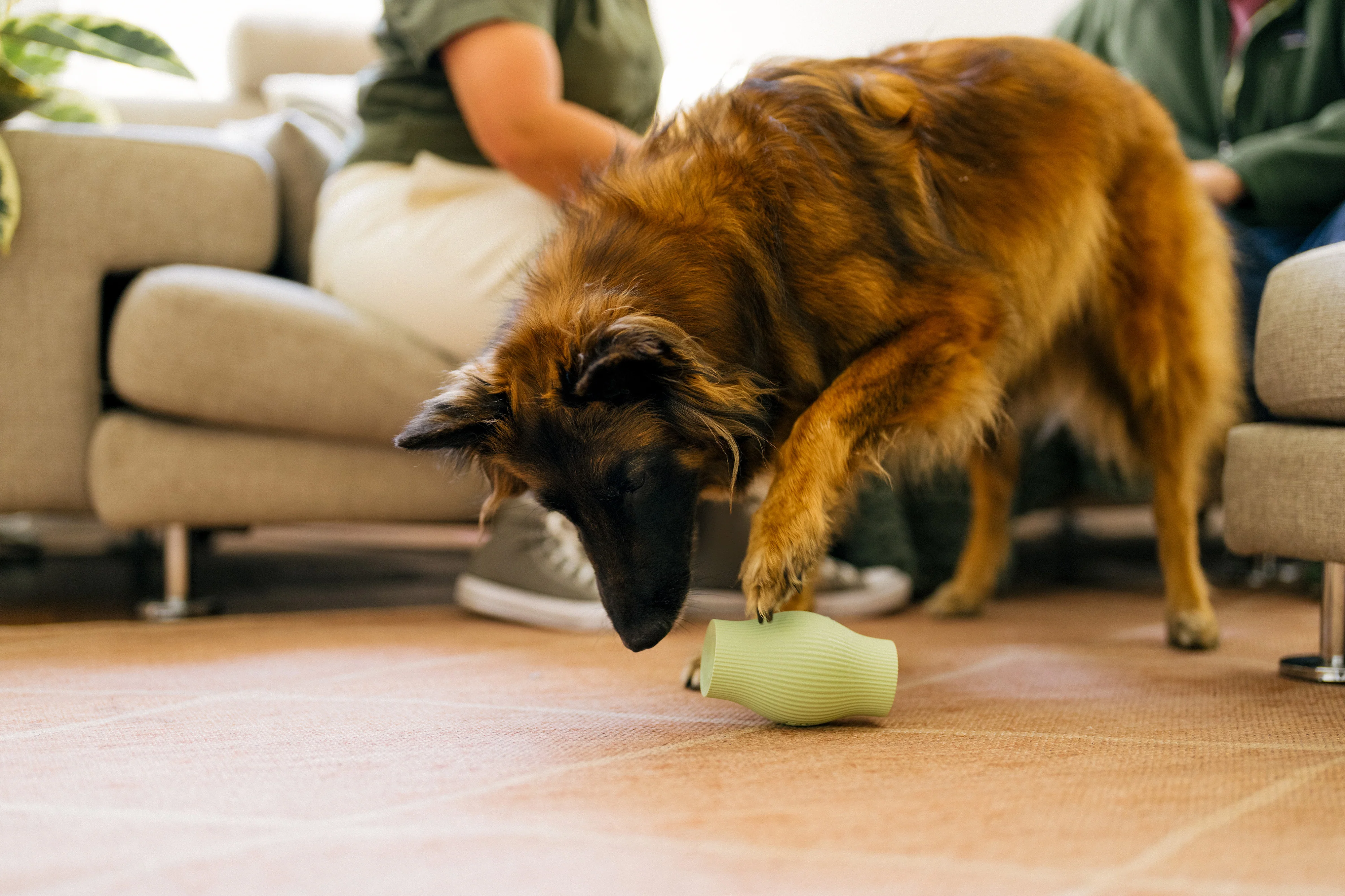 Earth Rated Treat Toy Rubber (2 sizes) - Image 9