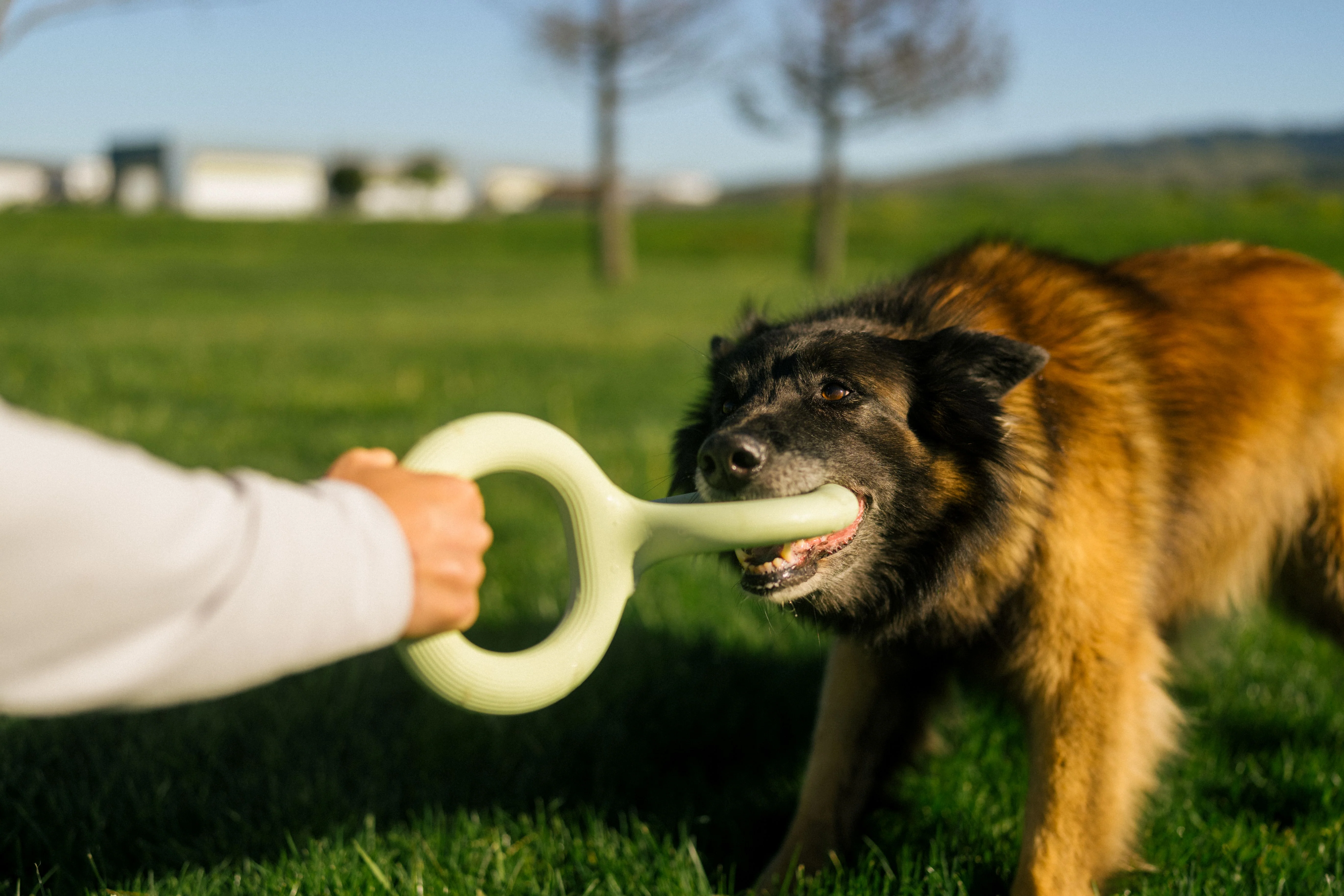 Earth Rated Tug Toy Rubber (2 sizes) - Image 10