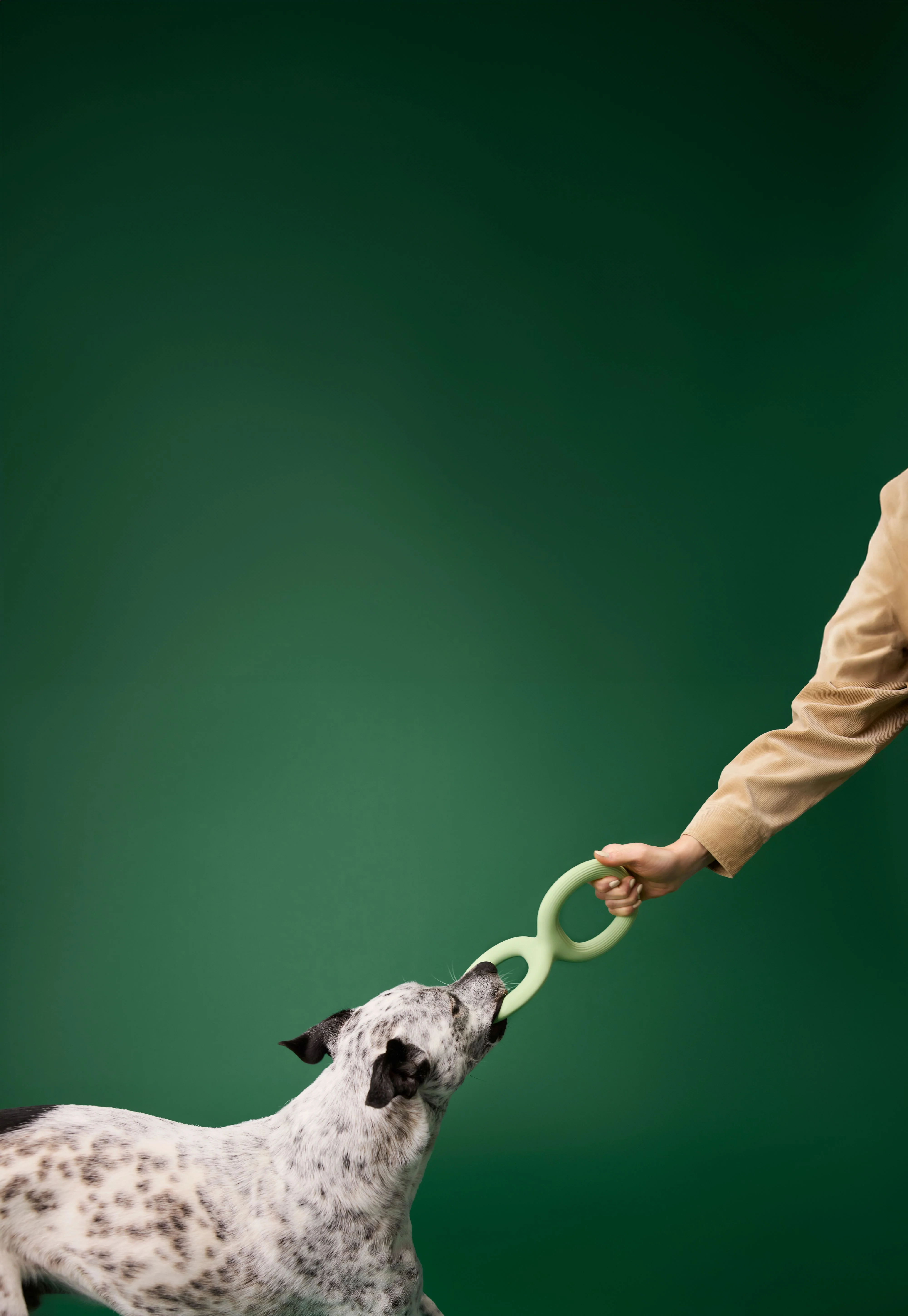 Earth Rated Tug Toy Rubber (2 sizes) - Image 3