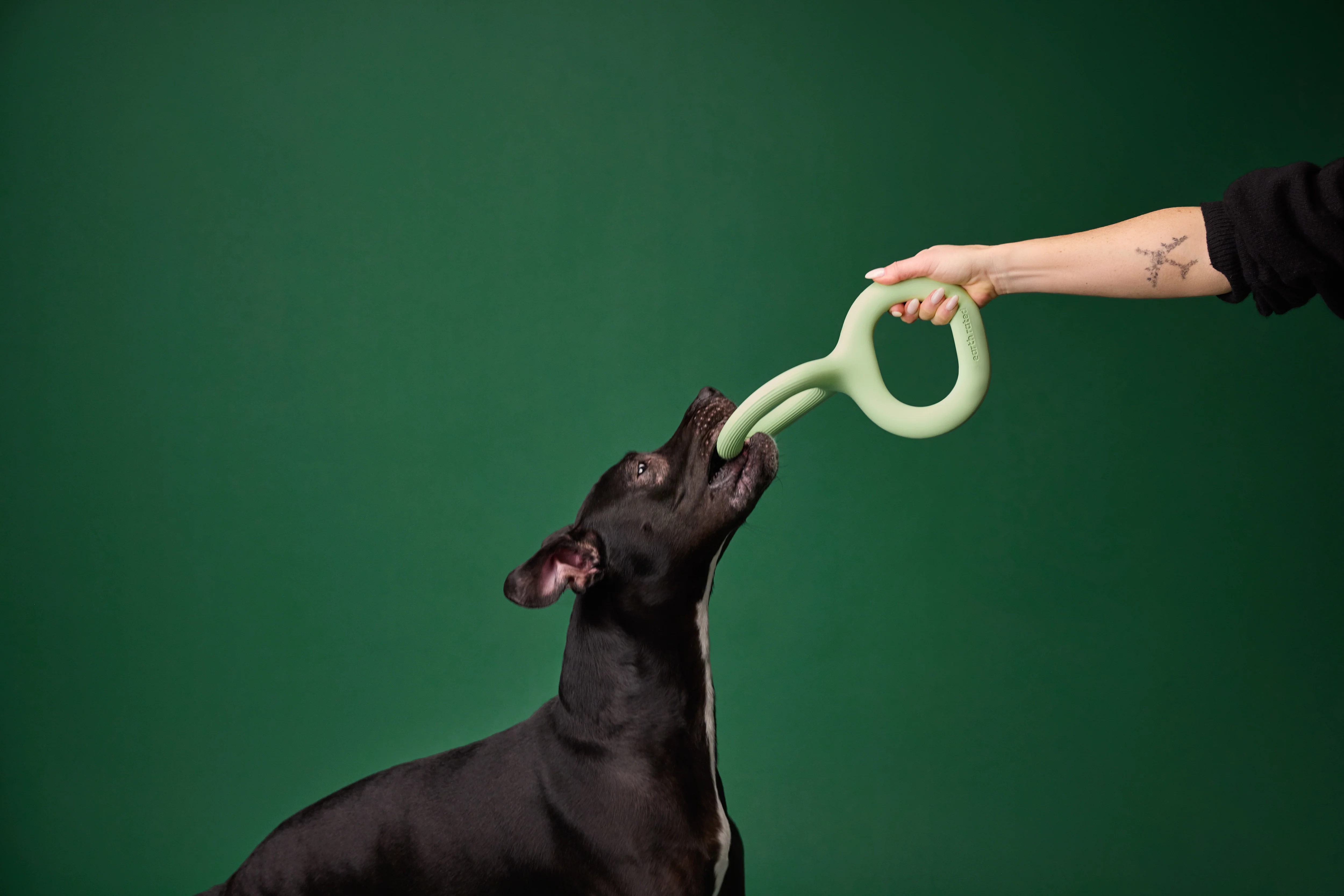 Earth Rated Tug Toy Rubber (2 sizes) - Image 5