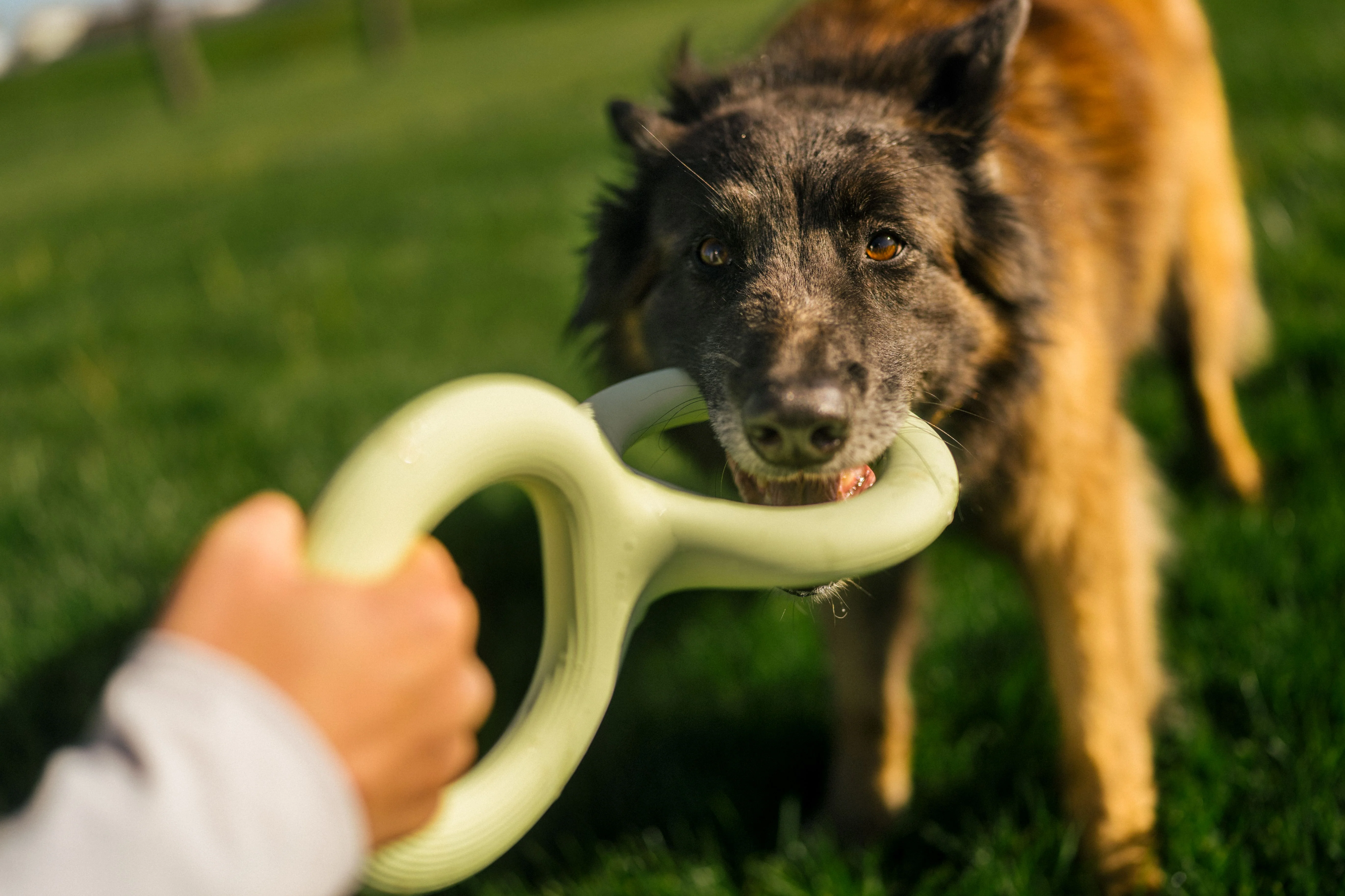 Earth Rated Tug Toy Rubber (2 sizes) - Image 6