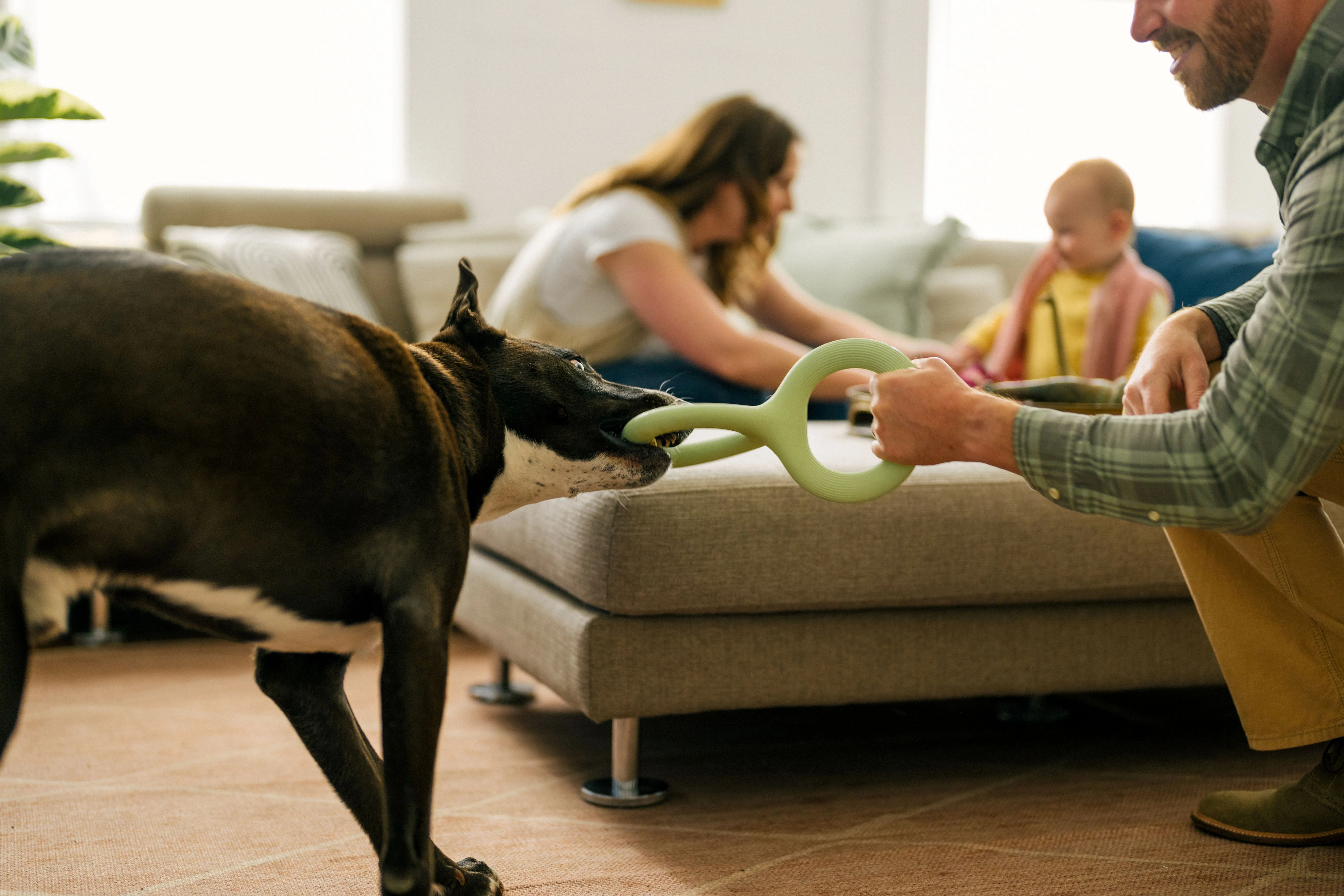 Earth Rated Tug Toy Rubber (2 sizes) - Image 7