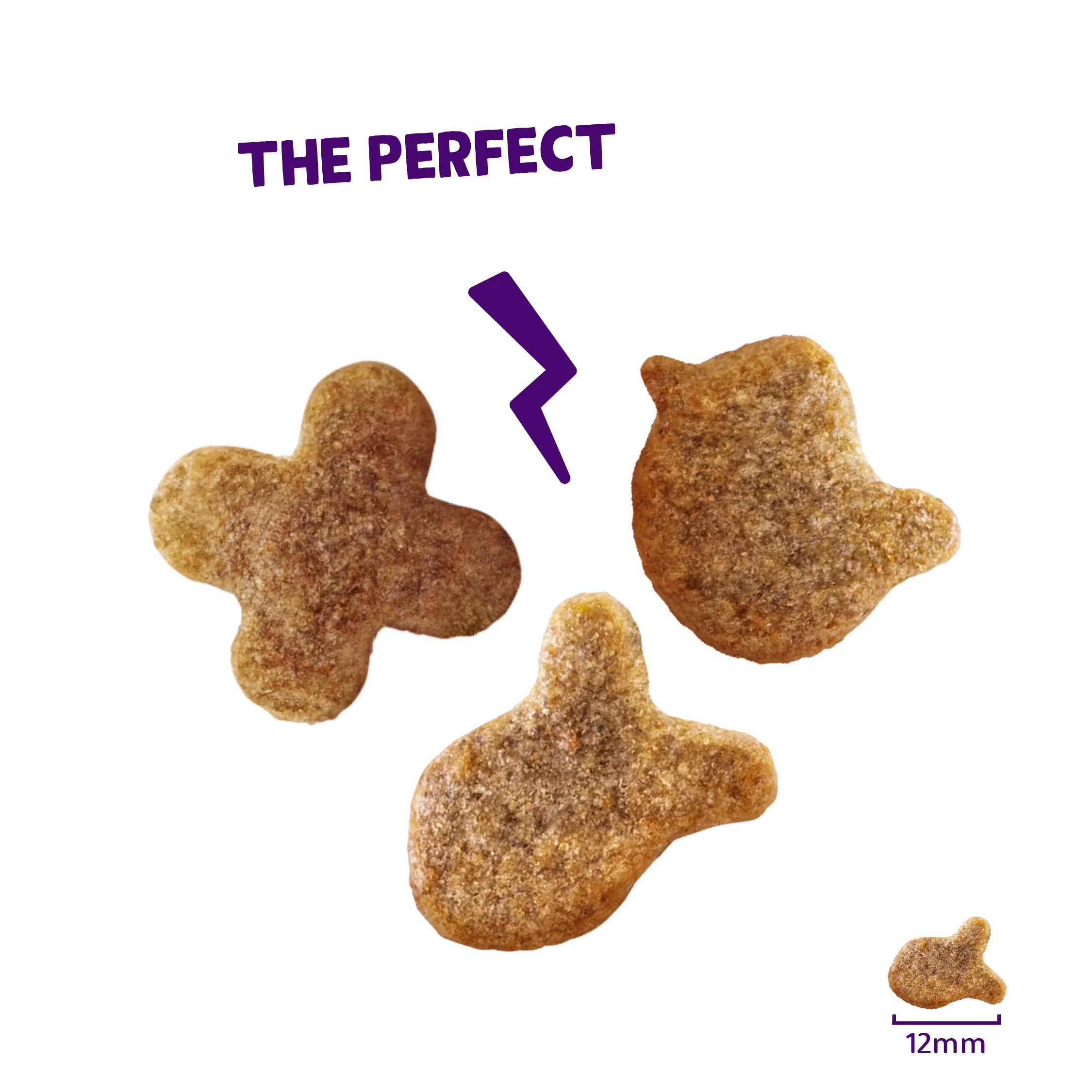 Edgard & Cooper Cat Chicken Crunchies 50g - Image 2