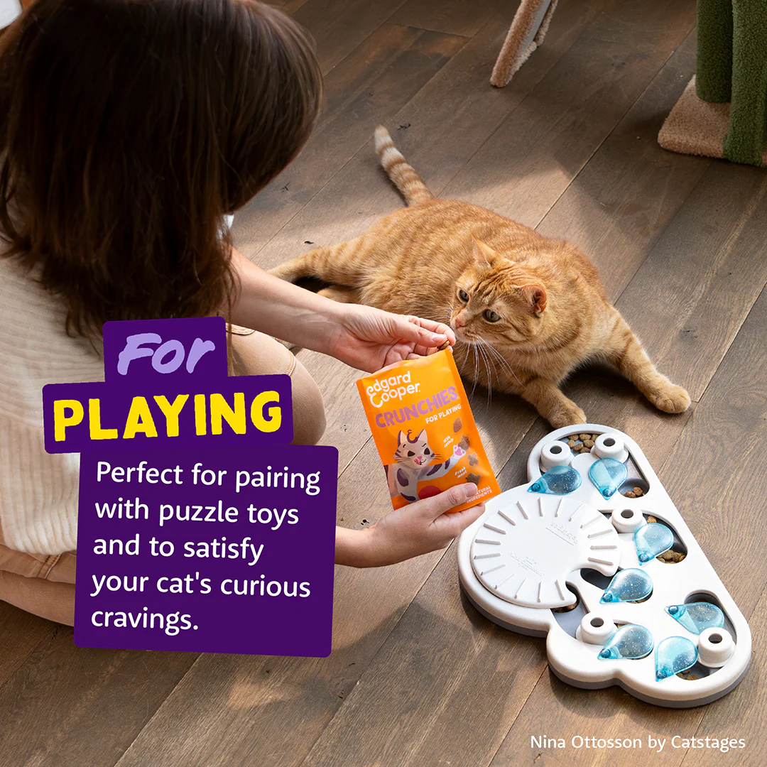 Edgard & Cooper Cat Chicken Crunchies 50g - Image 4