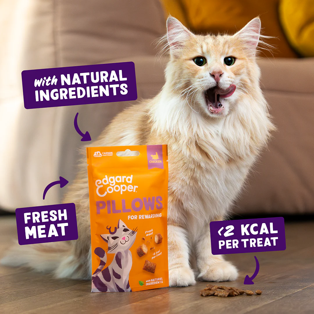 Edgard & Cooper Cat Chicken Pillows 60g - Image 3