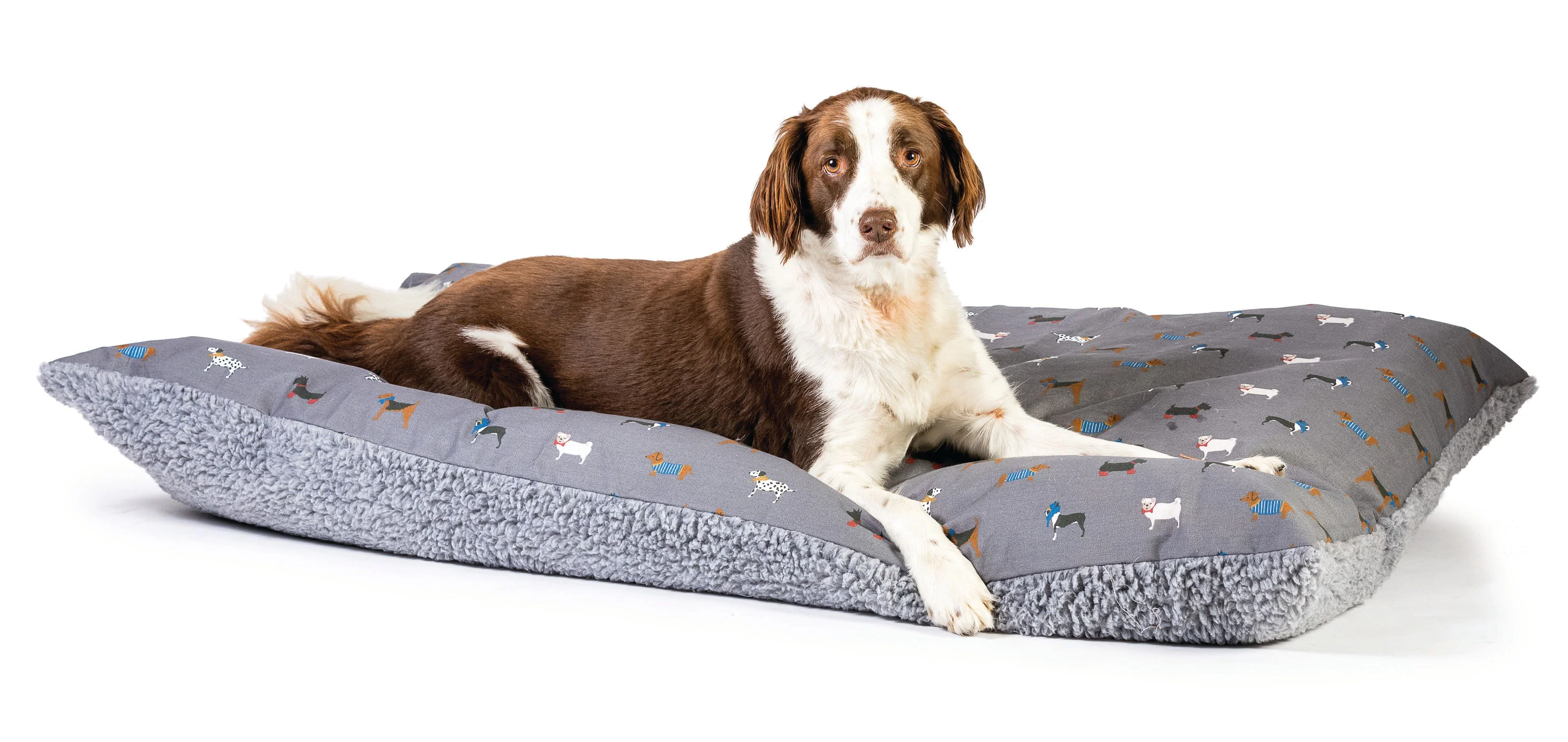 FatFace Marching Dogs Deep Dog Duvet - Image 3