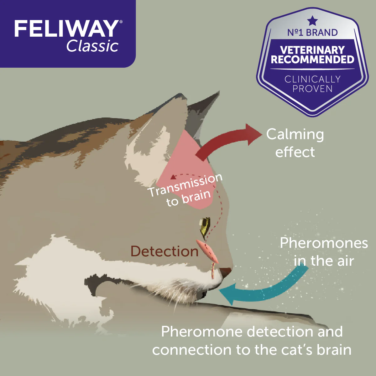 Feliway Classic 30-Day Refill for Diffuser - Image 5