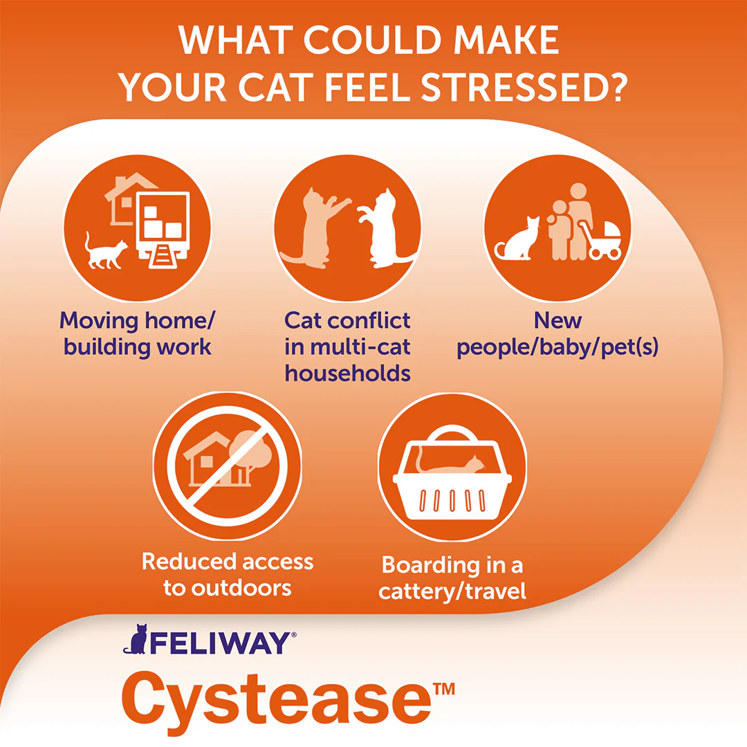 Feliway Cystease - Image 4