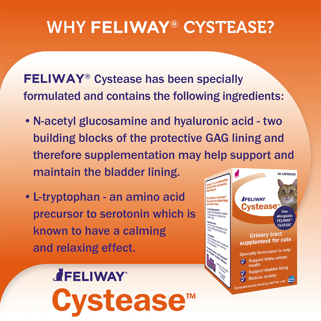 Feliway Cystease - Image 5
