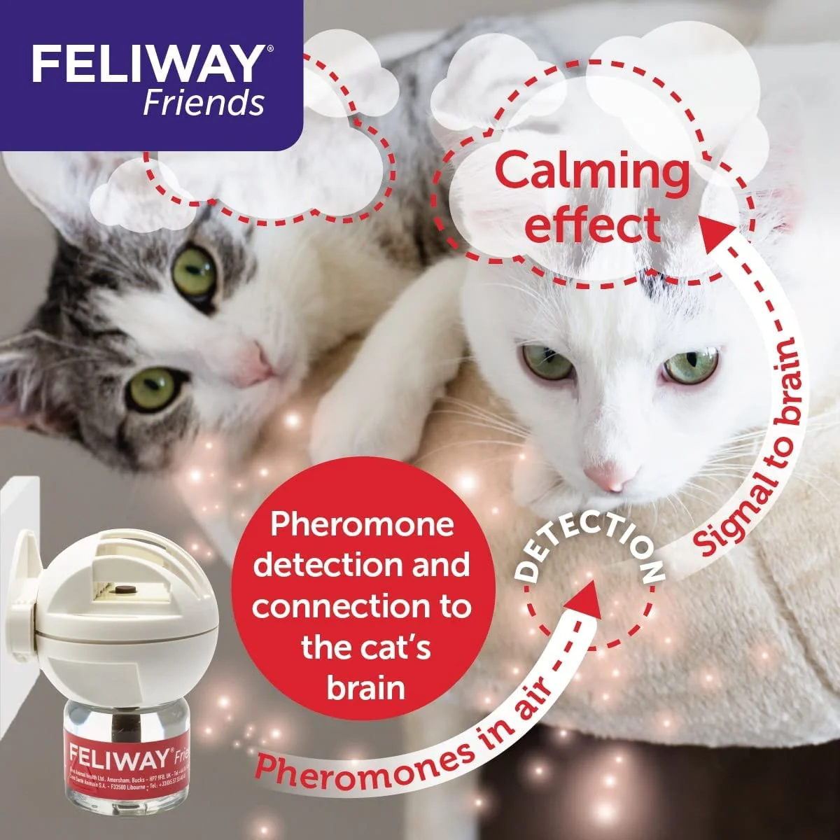 Feliway Friends Diffuser & Refill - Image 3