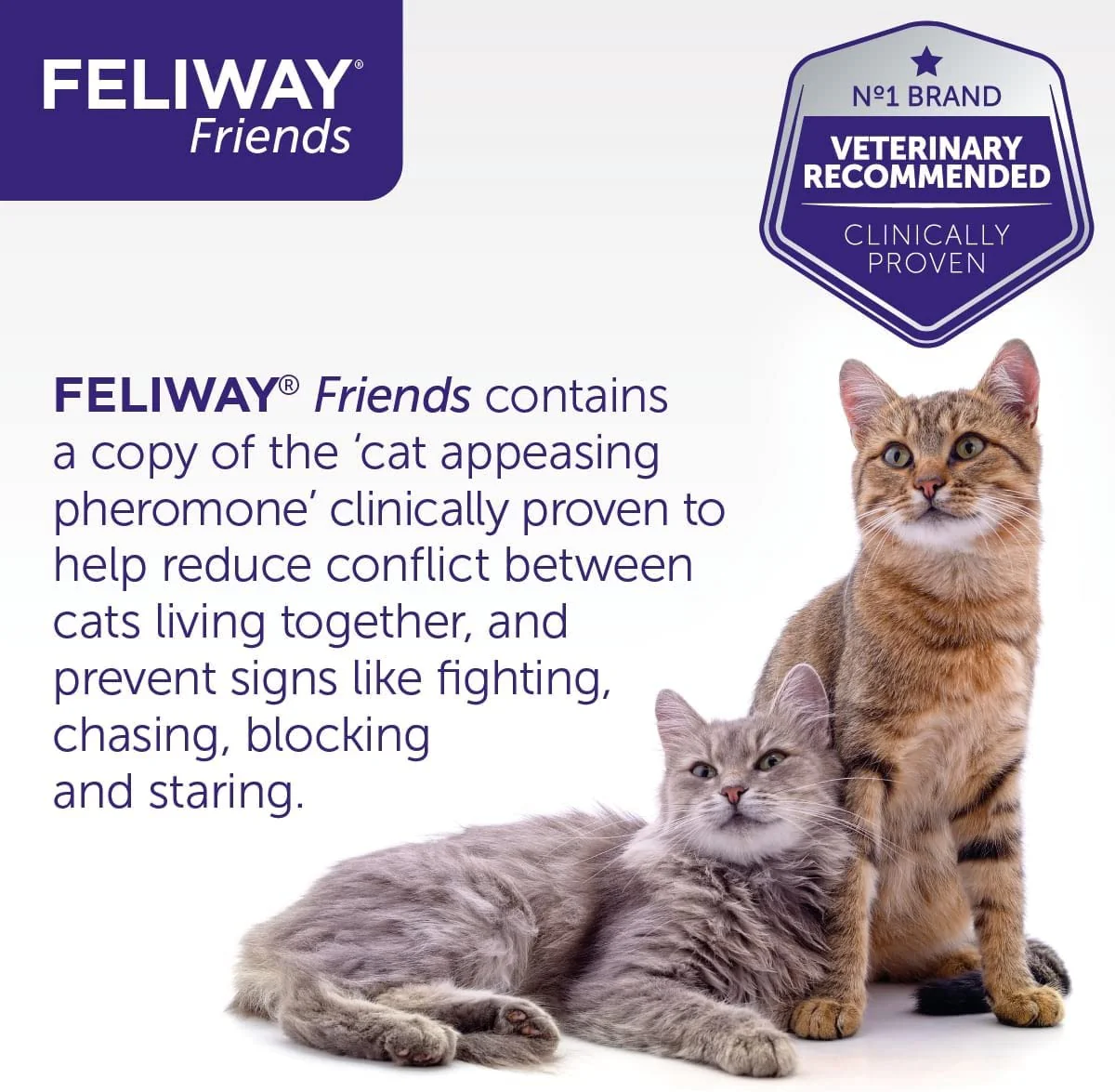 Feliway Friends Diffuser & Refill - Image 6