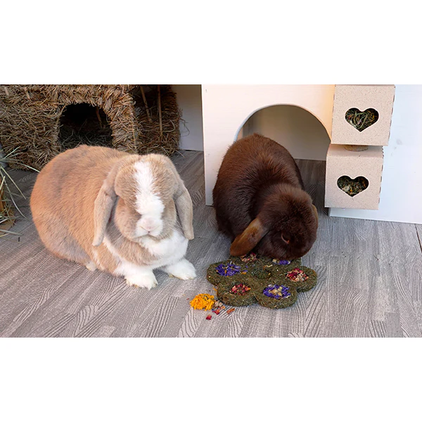 Flower 'N' Forage Blossom Small Animal - Image 4