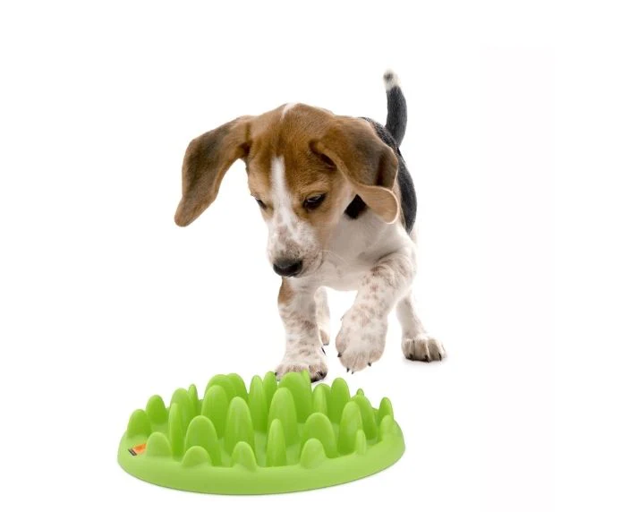 Green Slow Feeder - Image 6