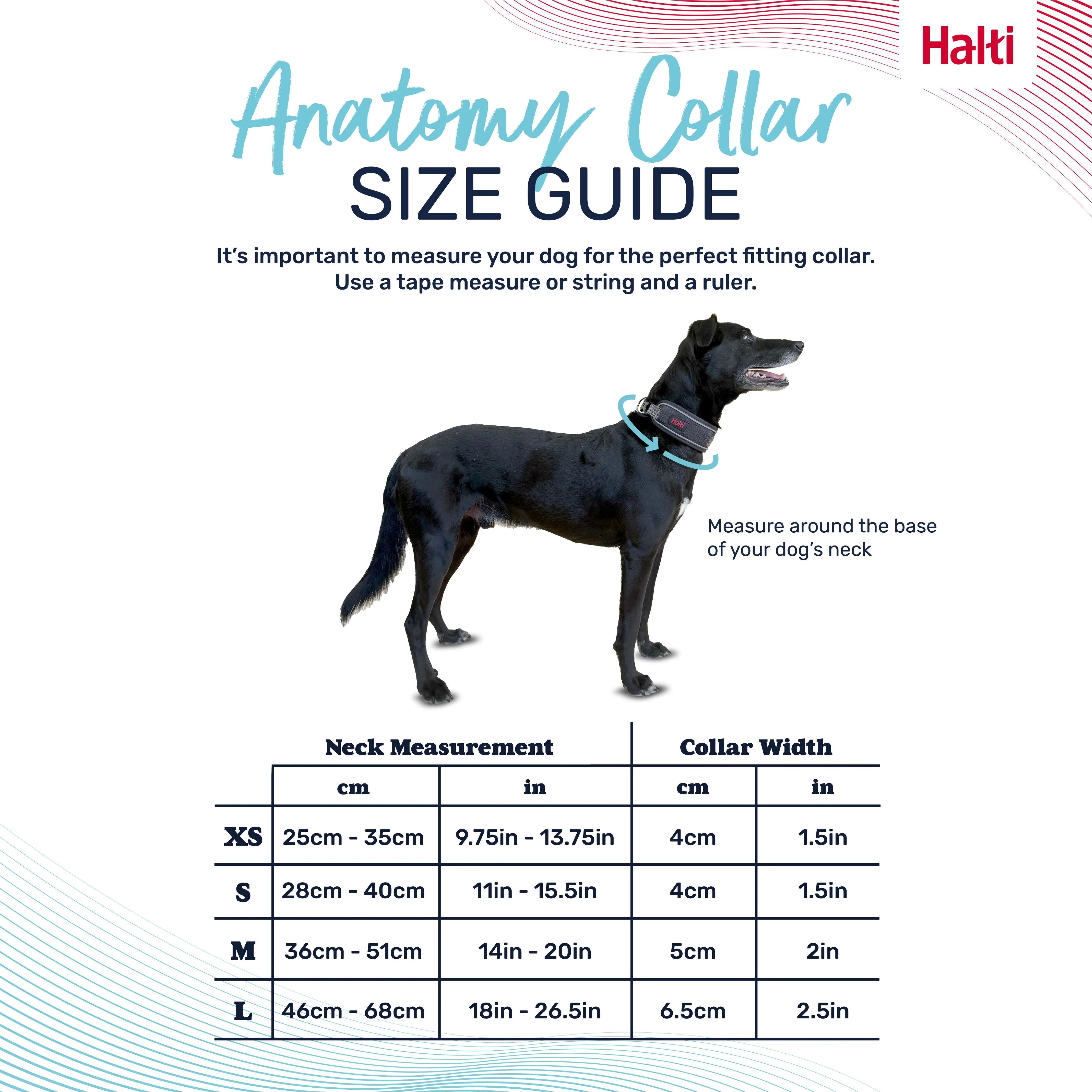 Halti Anatomy Collar Magenta (4 sizes) - Image 4