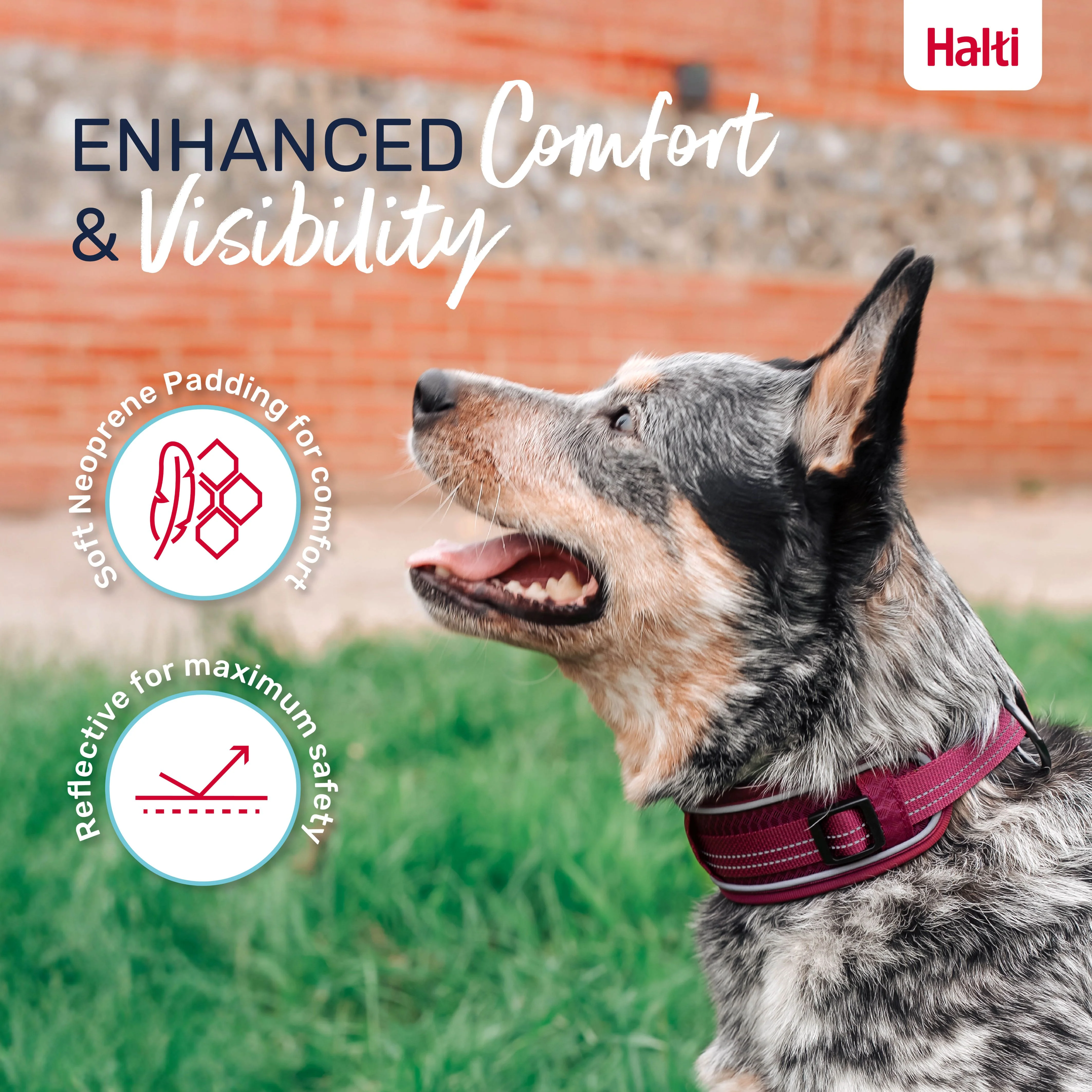 Halti Anatomy Collar Magenta (4 sizes) - Image 6