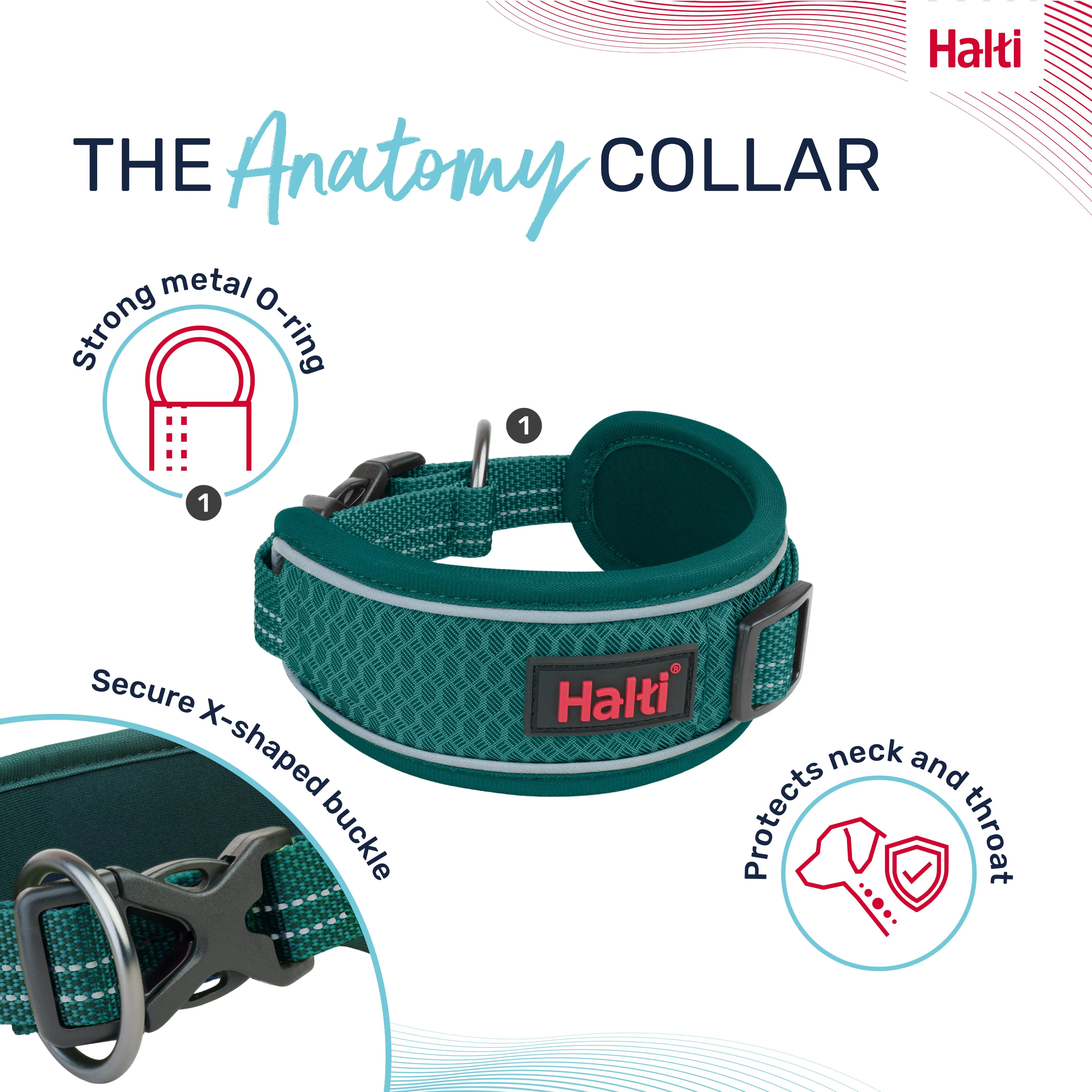 Halti Anatomy Collar Teal (4 sizes) - Image 3