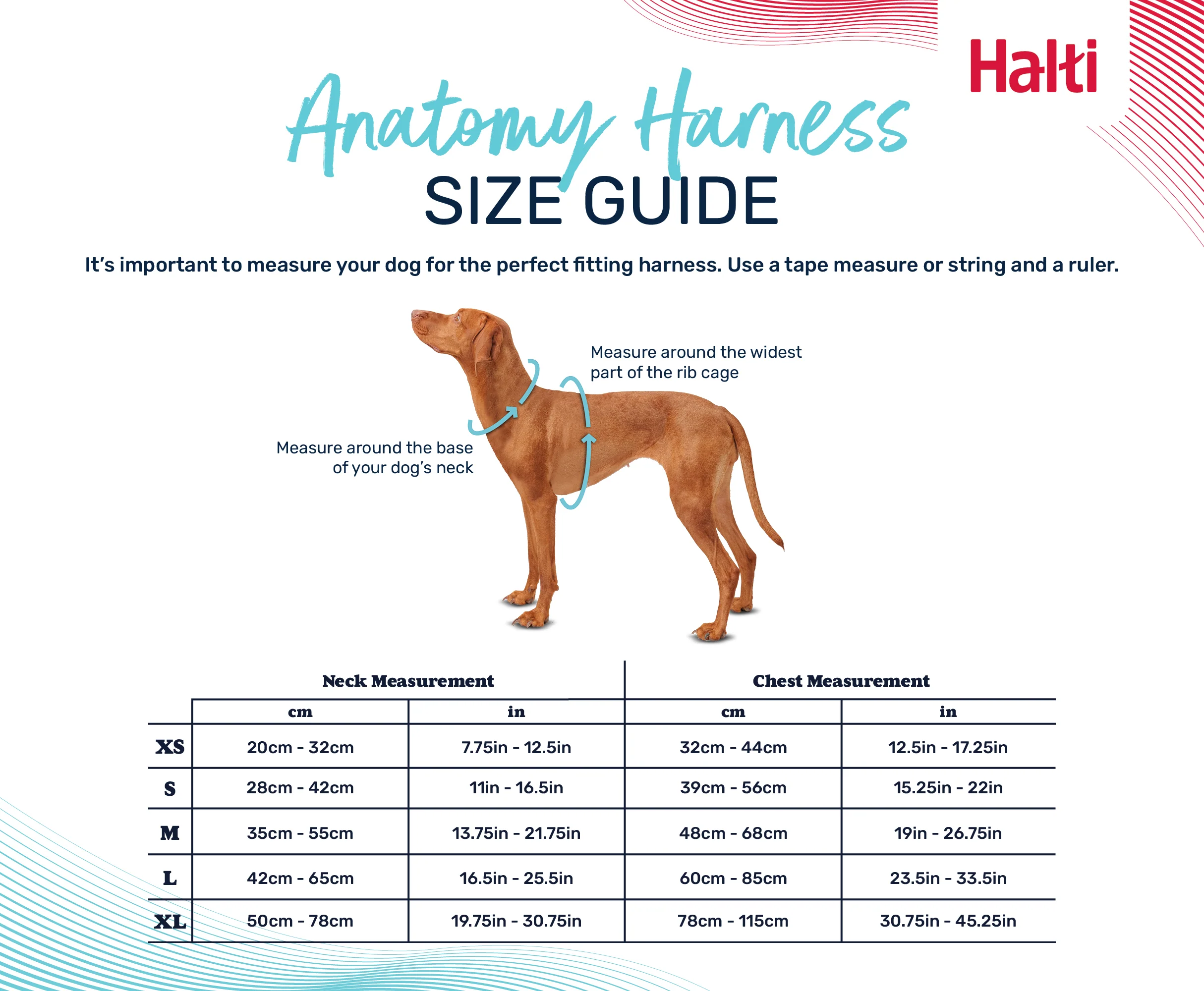 Halti Anatomy Harness Grey (5 sizes) - Image 2