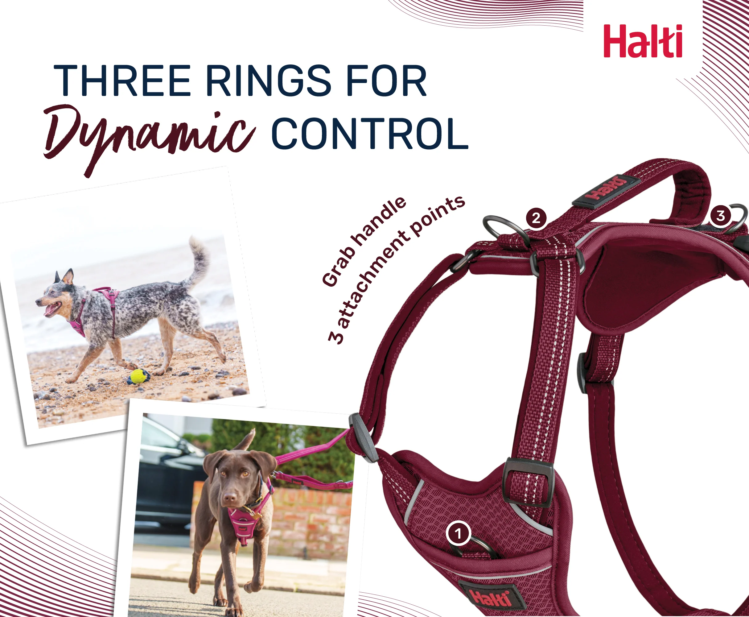 Halti Anatomy Harness Magenta (5 sizes) - Image 3
