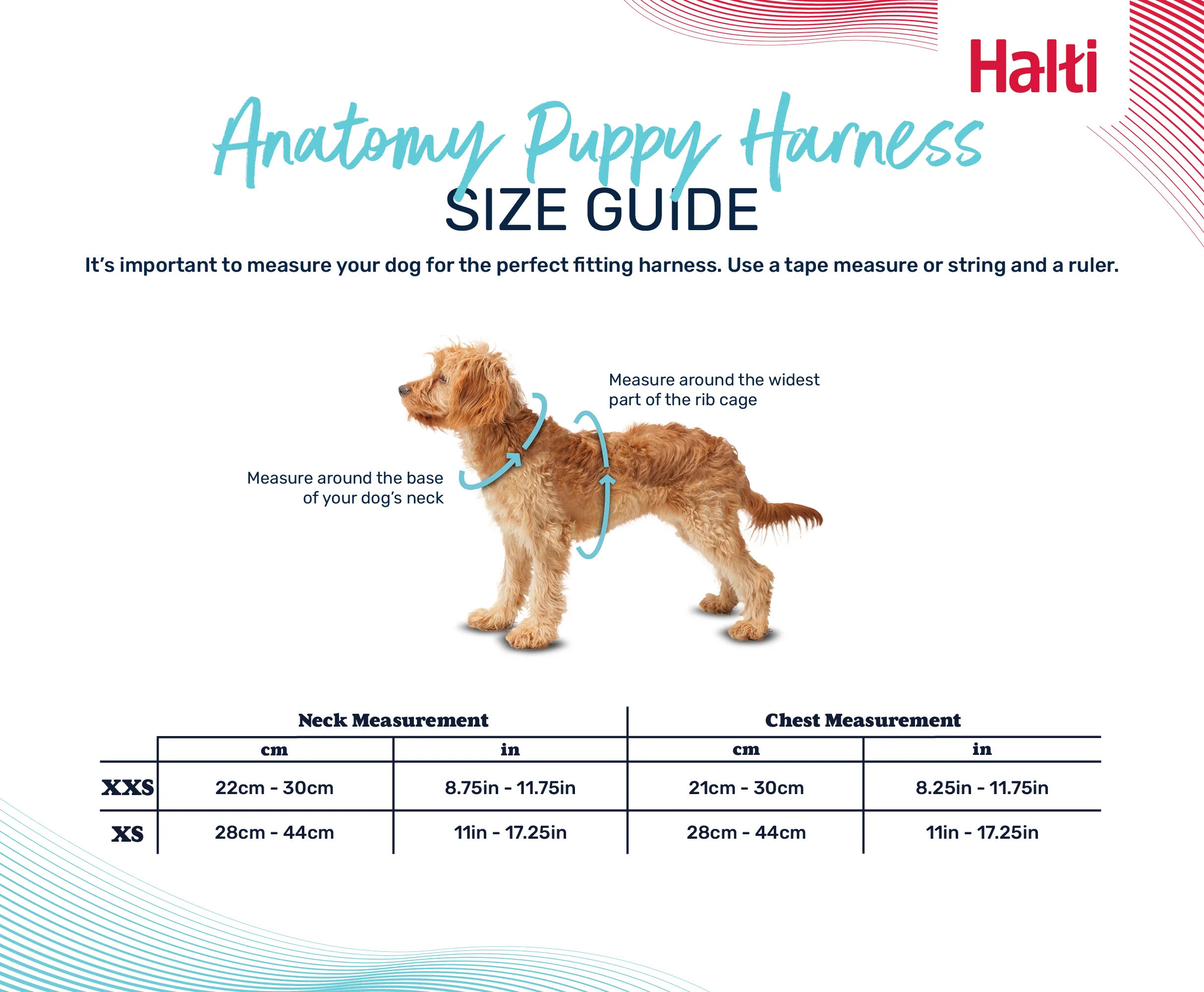 Halti Anatomy Puppy Harness Grey (2 sizes) - Image 2