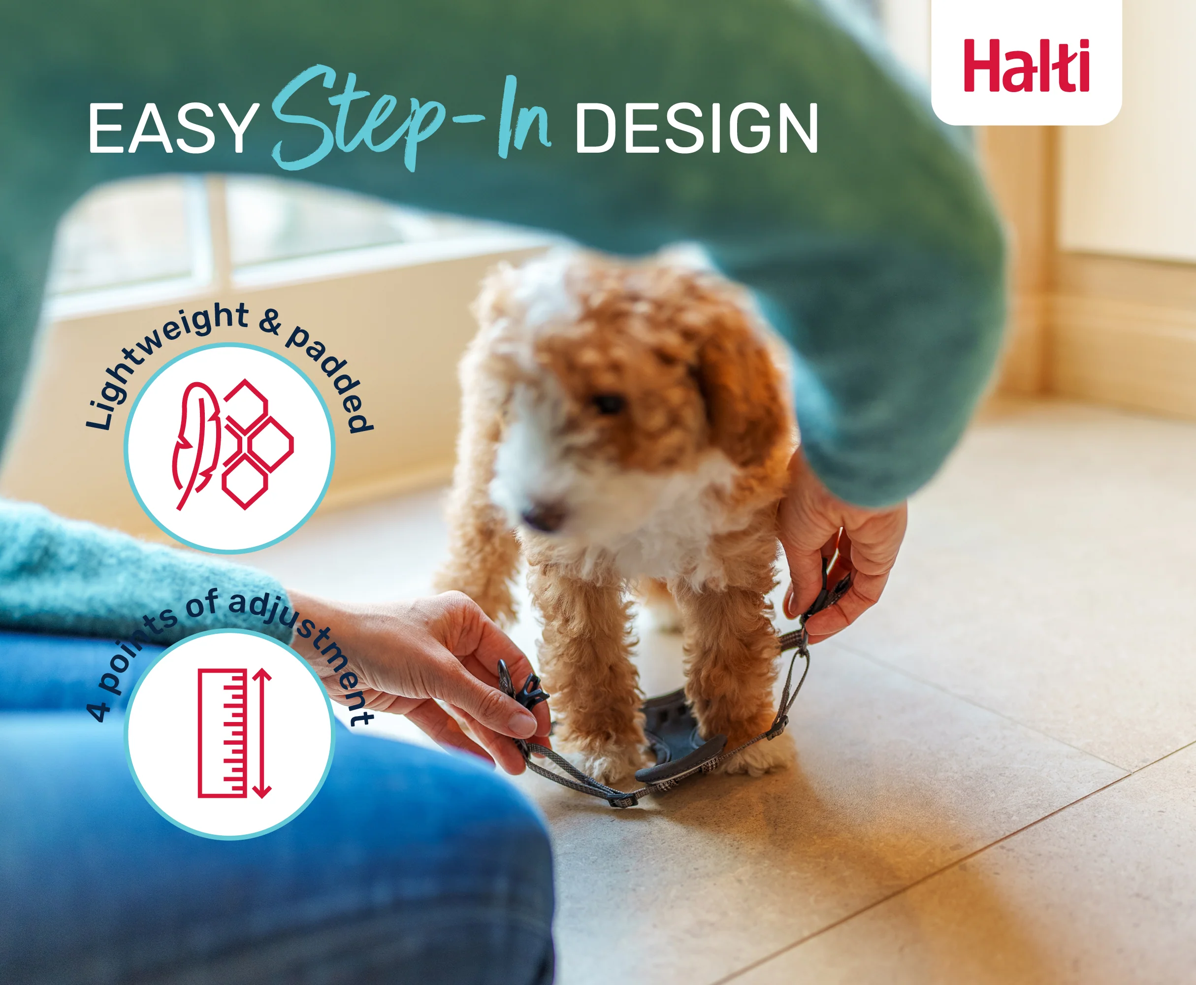 Halti Anatomy Puppy Harness Grey (2 sizes) - Image 3