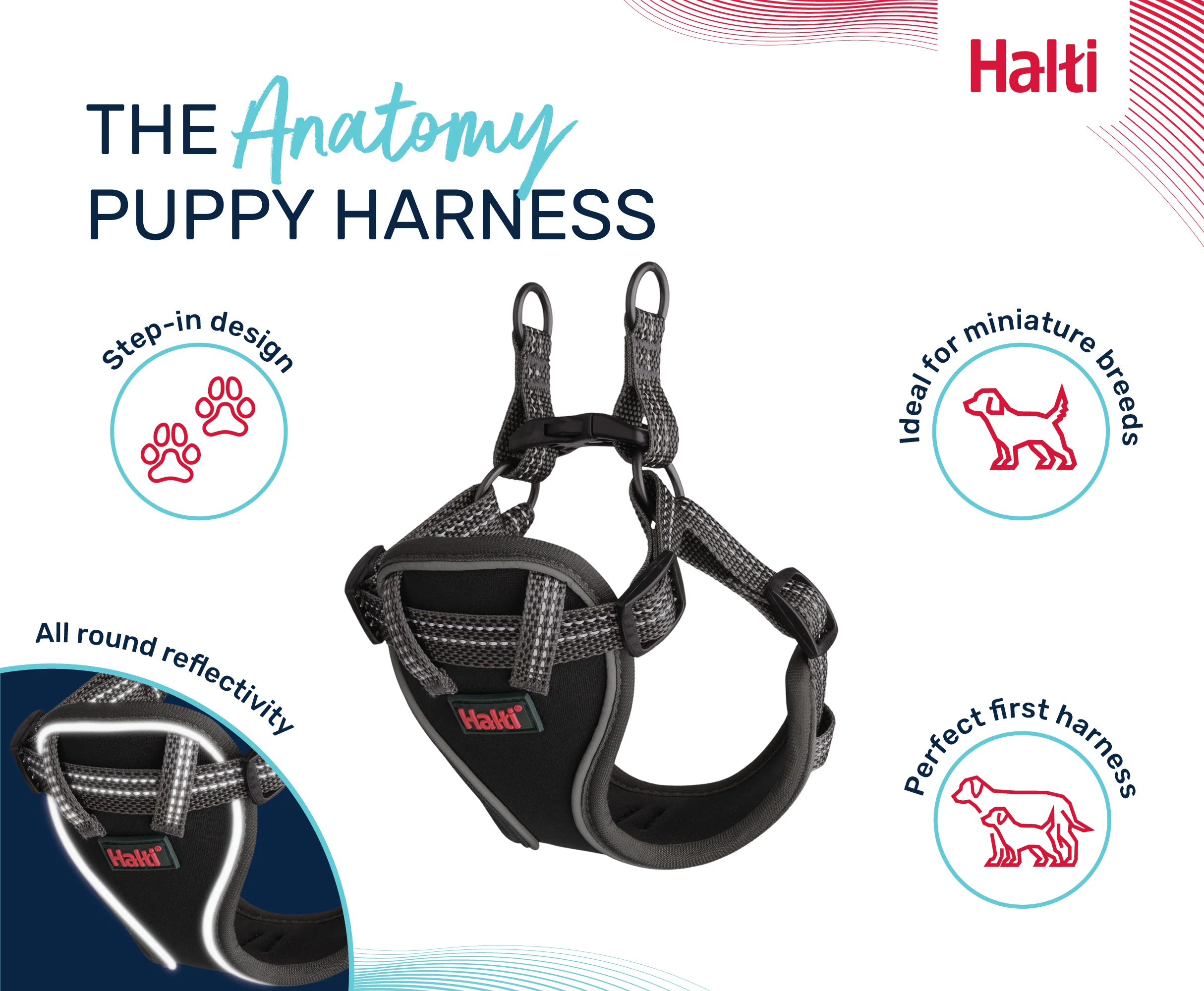 Halti Anatomy Puppy Harness Grey (2 sizes) - Image 6