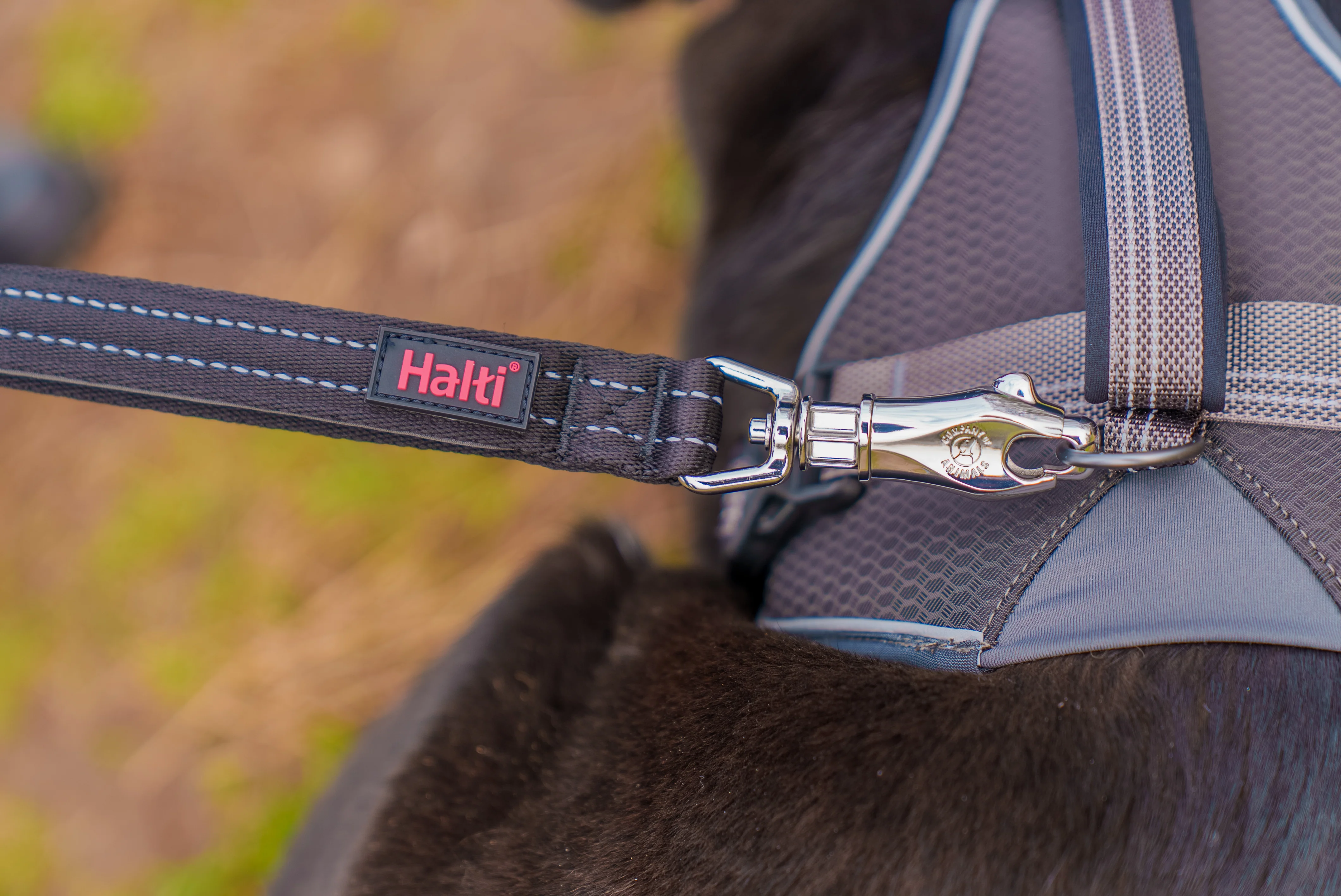 Halti BRIG Safety Lead Neon Coral Large - Image 12