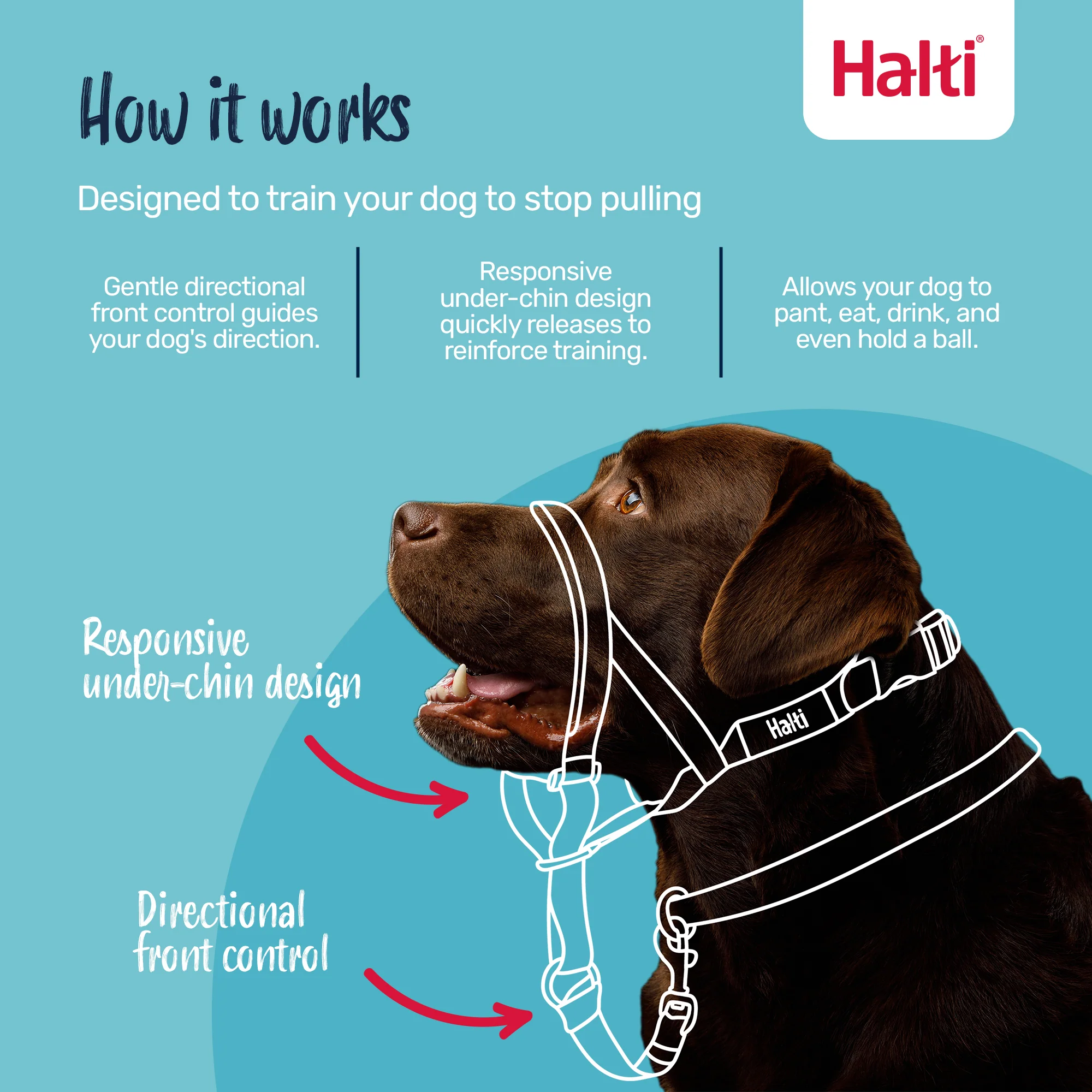 Halti Dog Headcollar Black - Image 3
