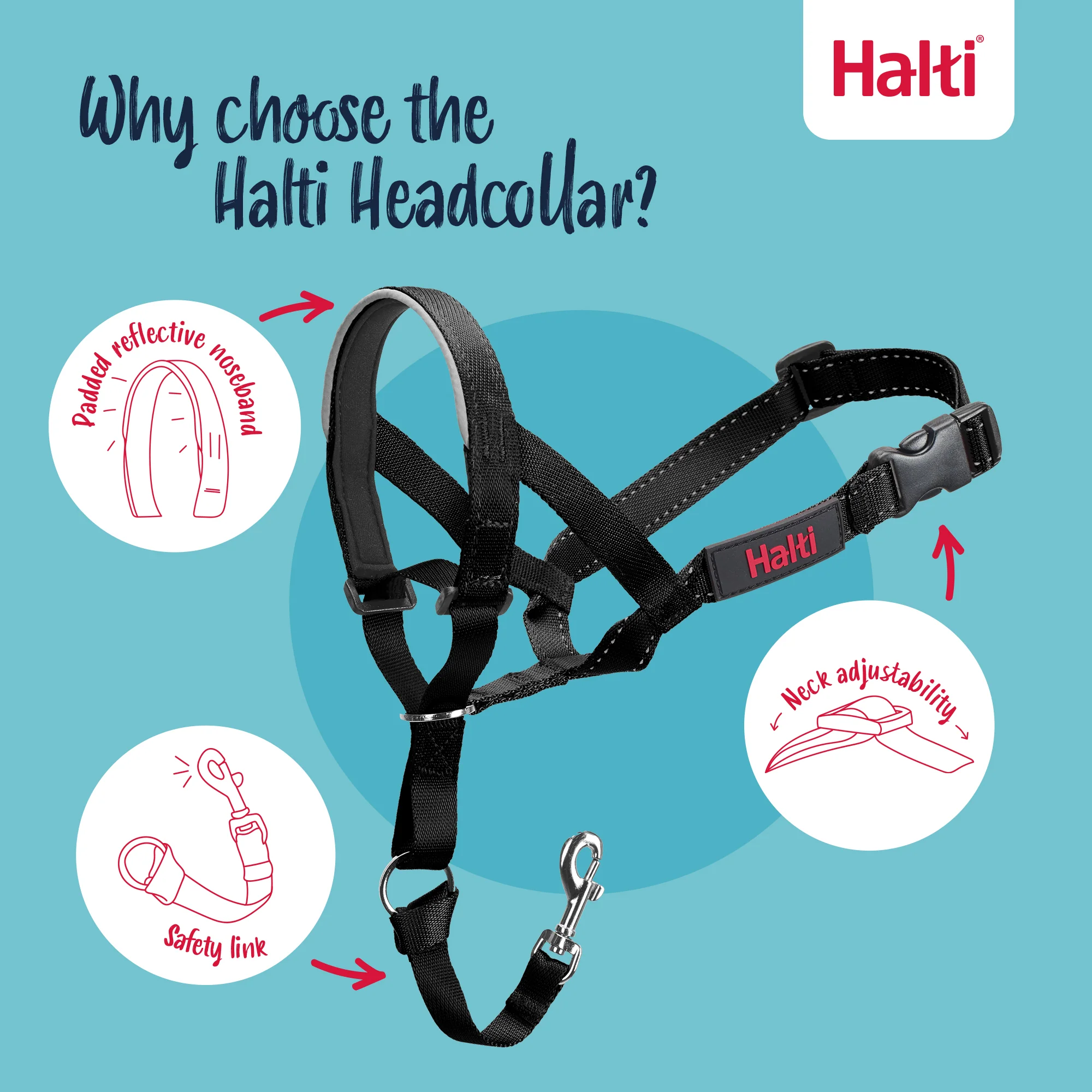 Halti Dog Headcollar Black - Image 4