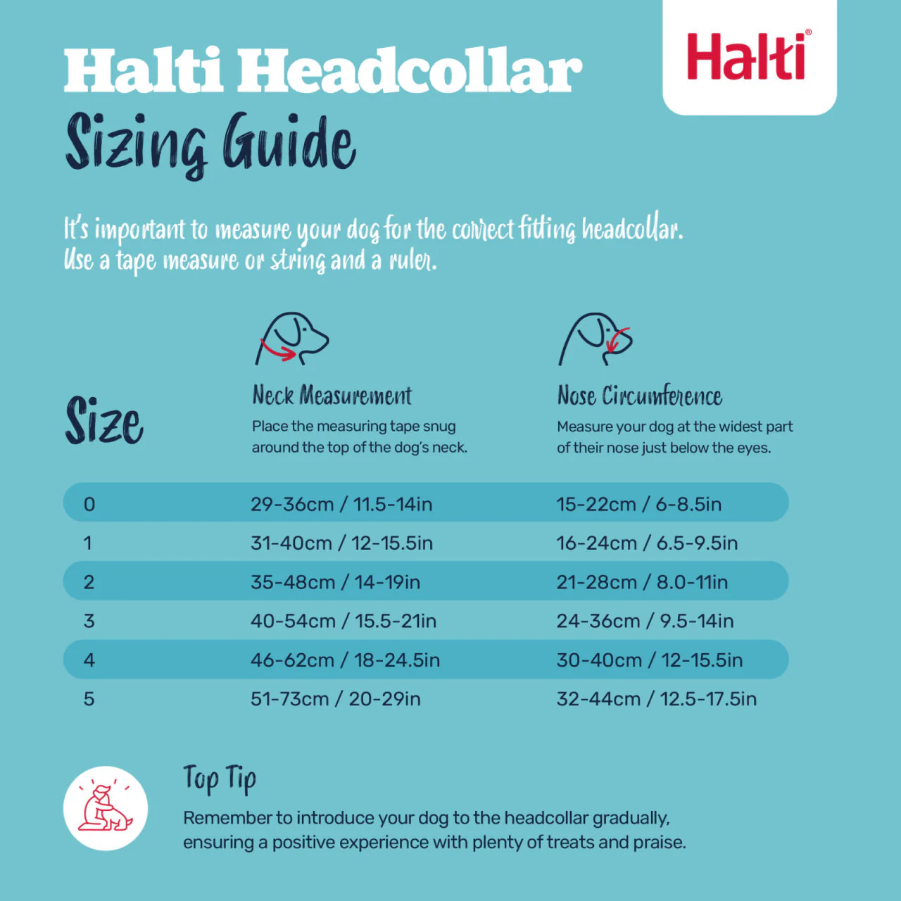 Halti Dog Headcollar Black - Image 5