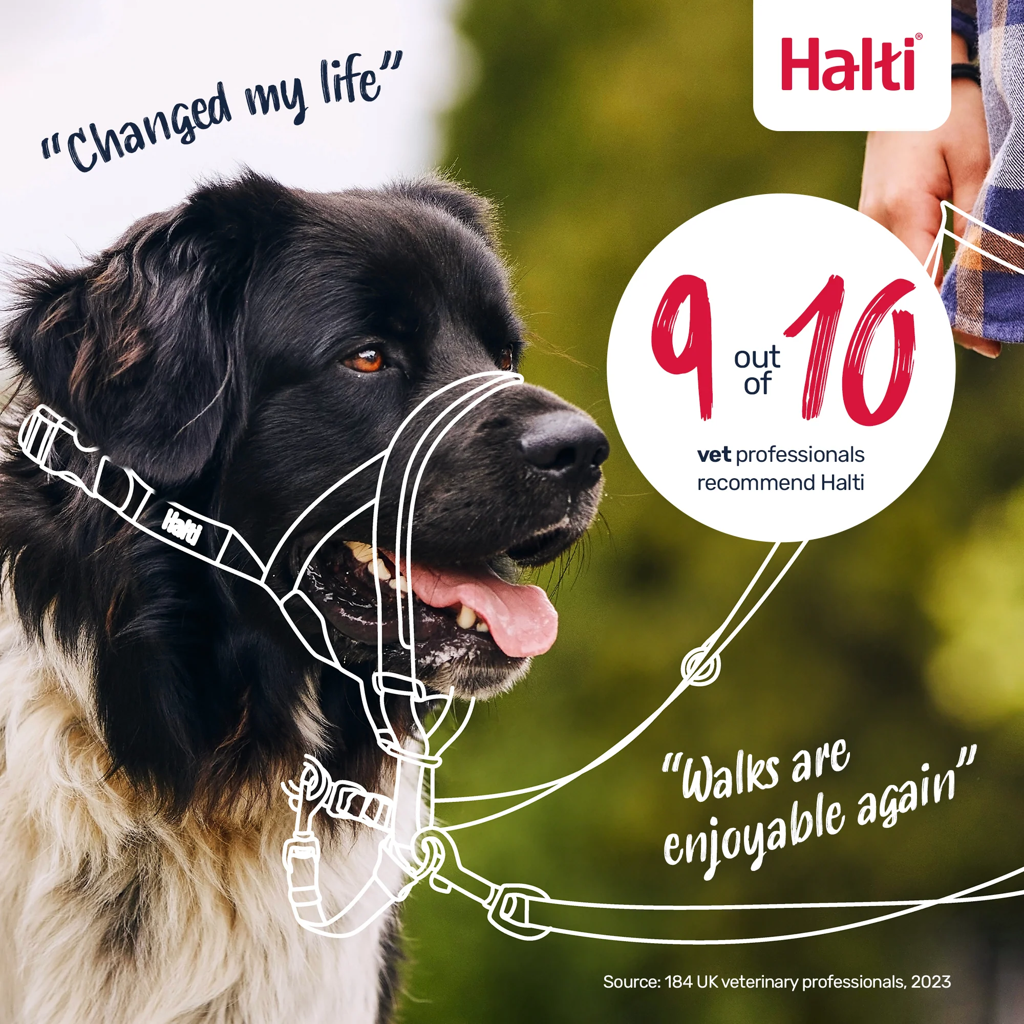 Halti Dog Headcollar Black - Image 7
