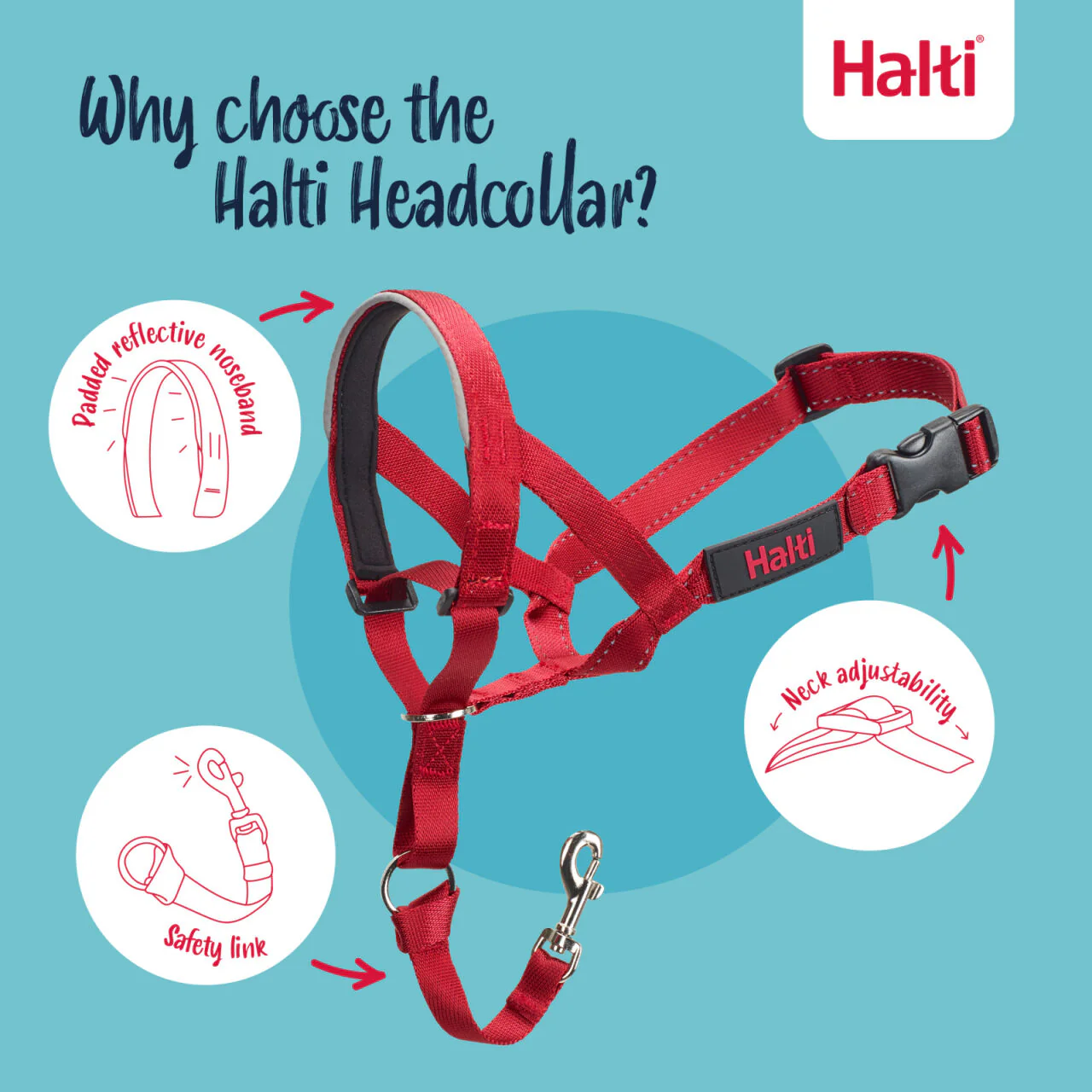 Halti Dog Headcollar Red - Image 4