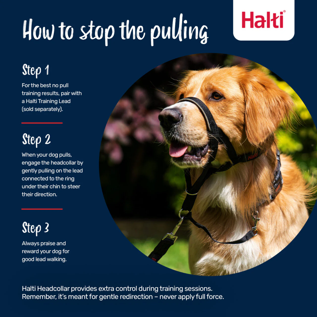 Halti Dog Headcollar Red - Image 5