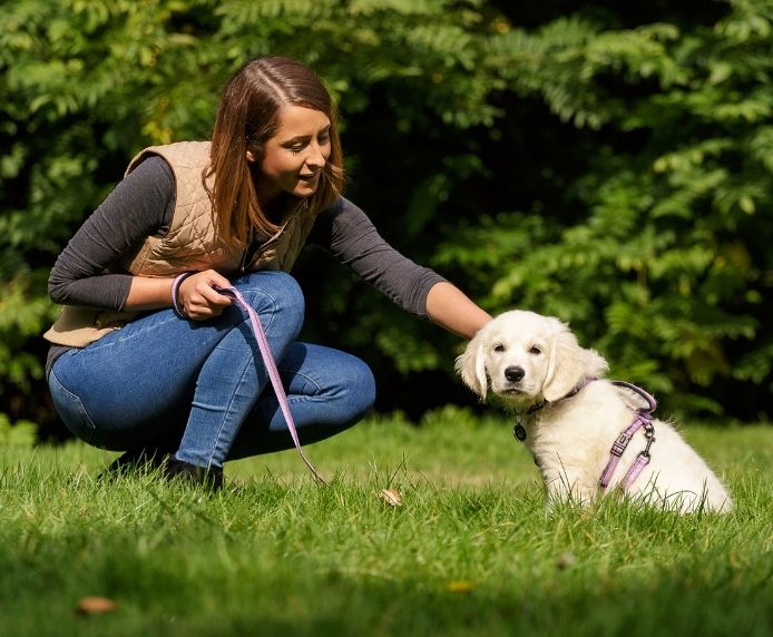 Halti Dog Lead Black Large - Image 4