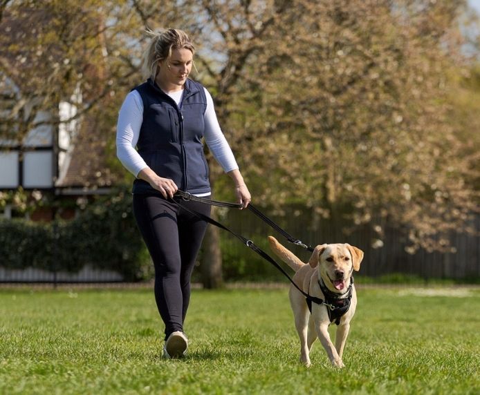 Halti No Pull Dog Harness - Image 12