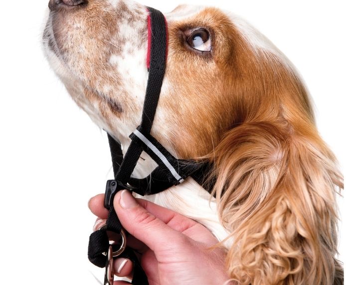 Halti Optifit Dog Headcollar - Image 3
