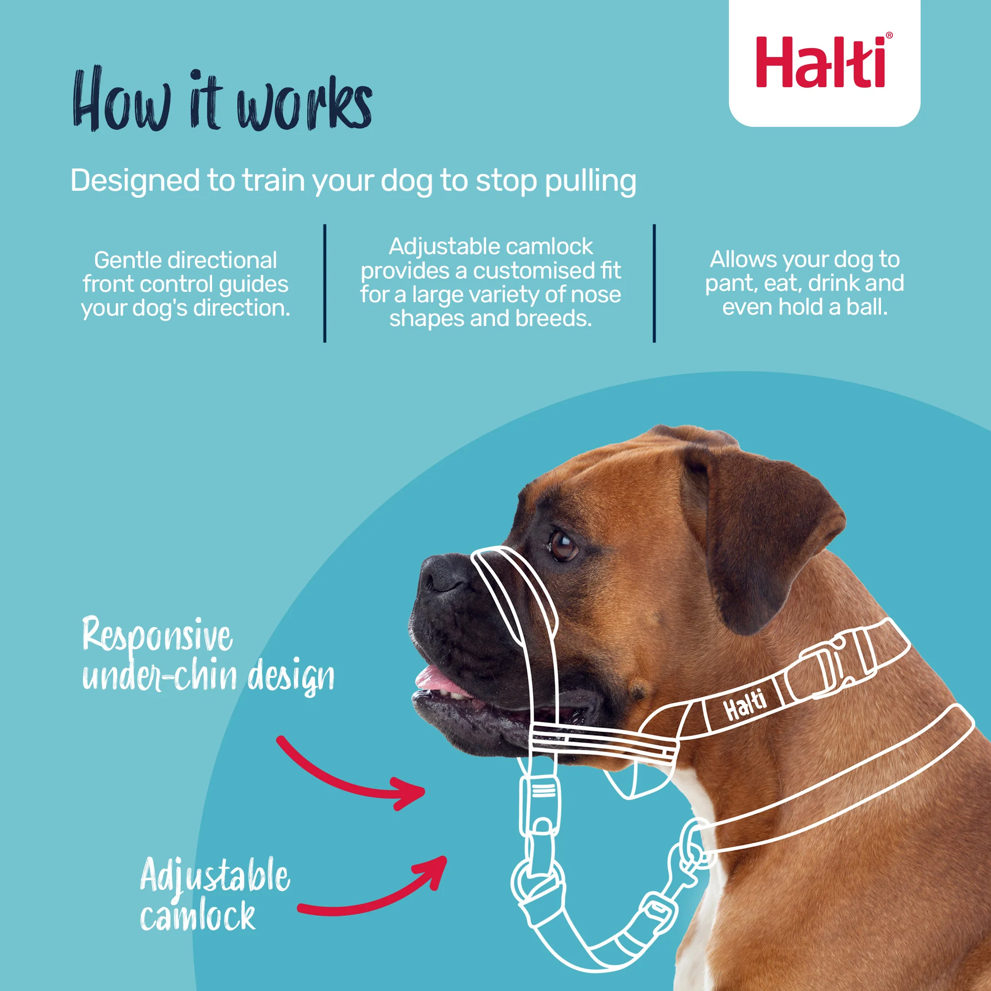 Halti Optifit Dog Headcollar - Image 4