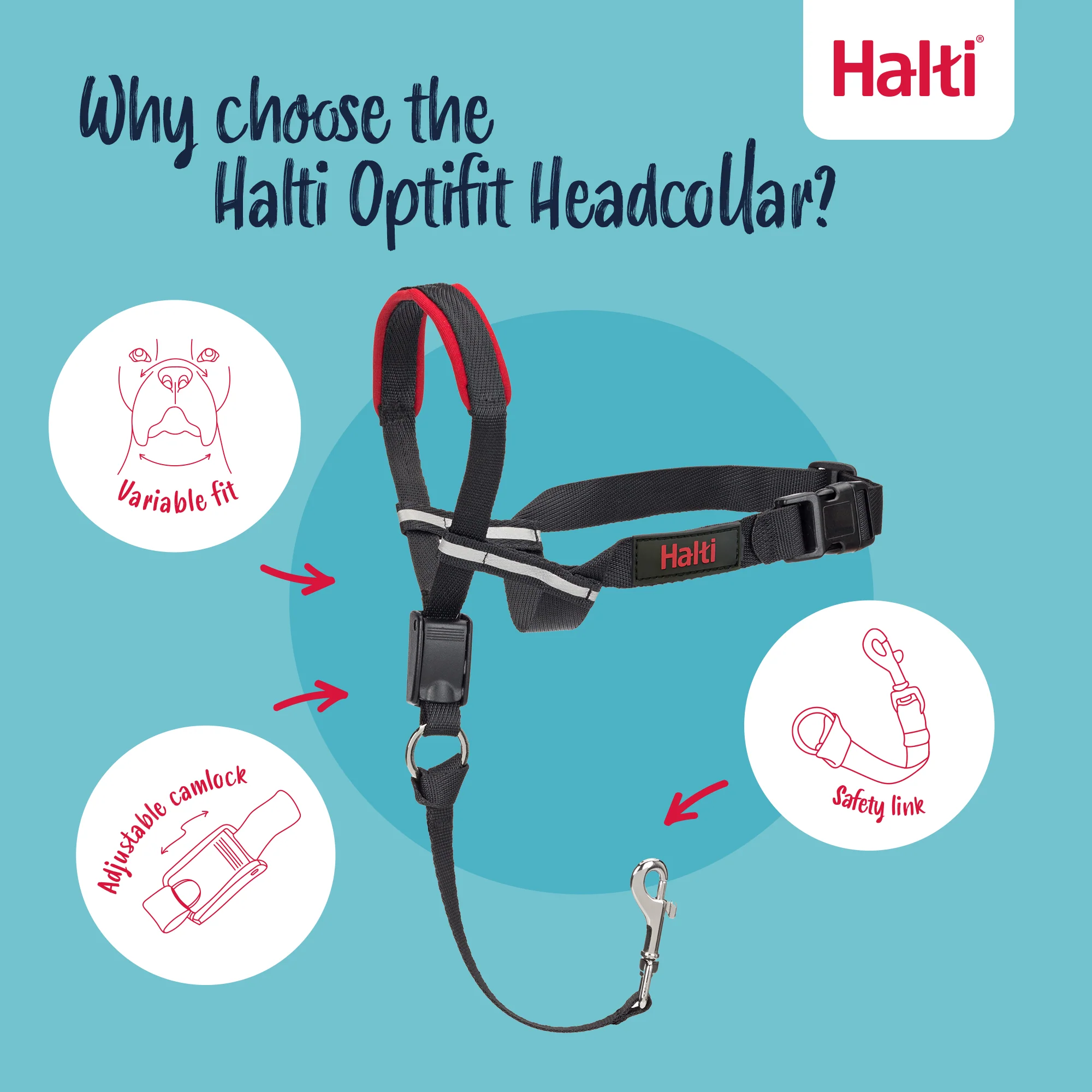 Halti Optifit Dog Headcollar - Image 5
