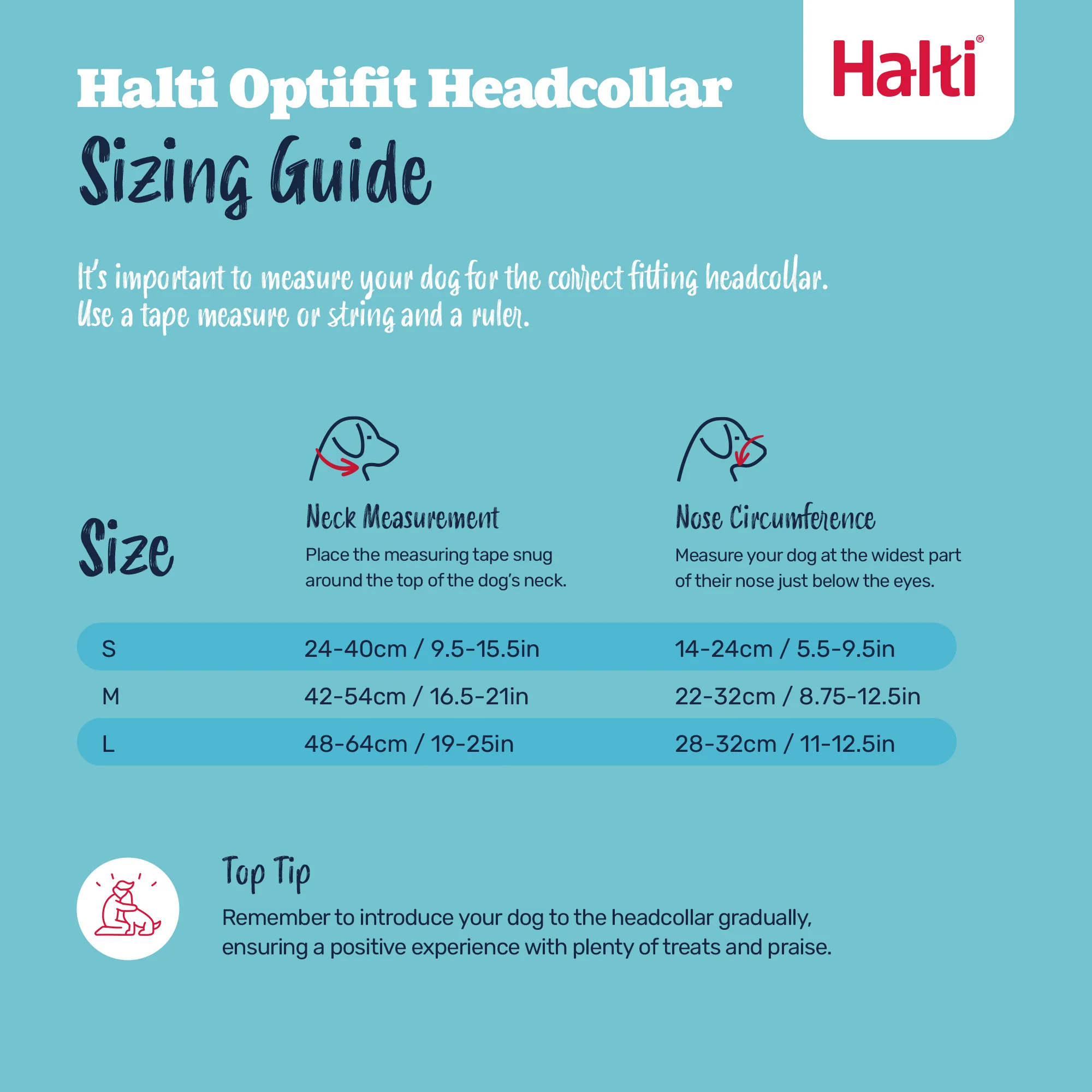 Halti Optifit Dog Headcollar - Image 6