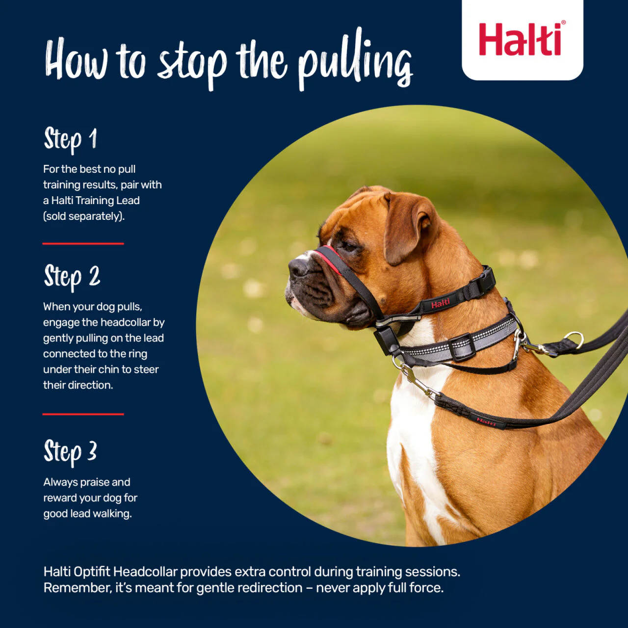 Halti Optifit Dog Headcollar - Image 7