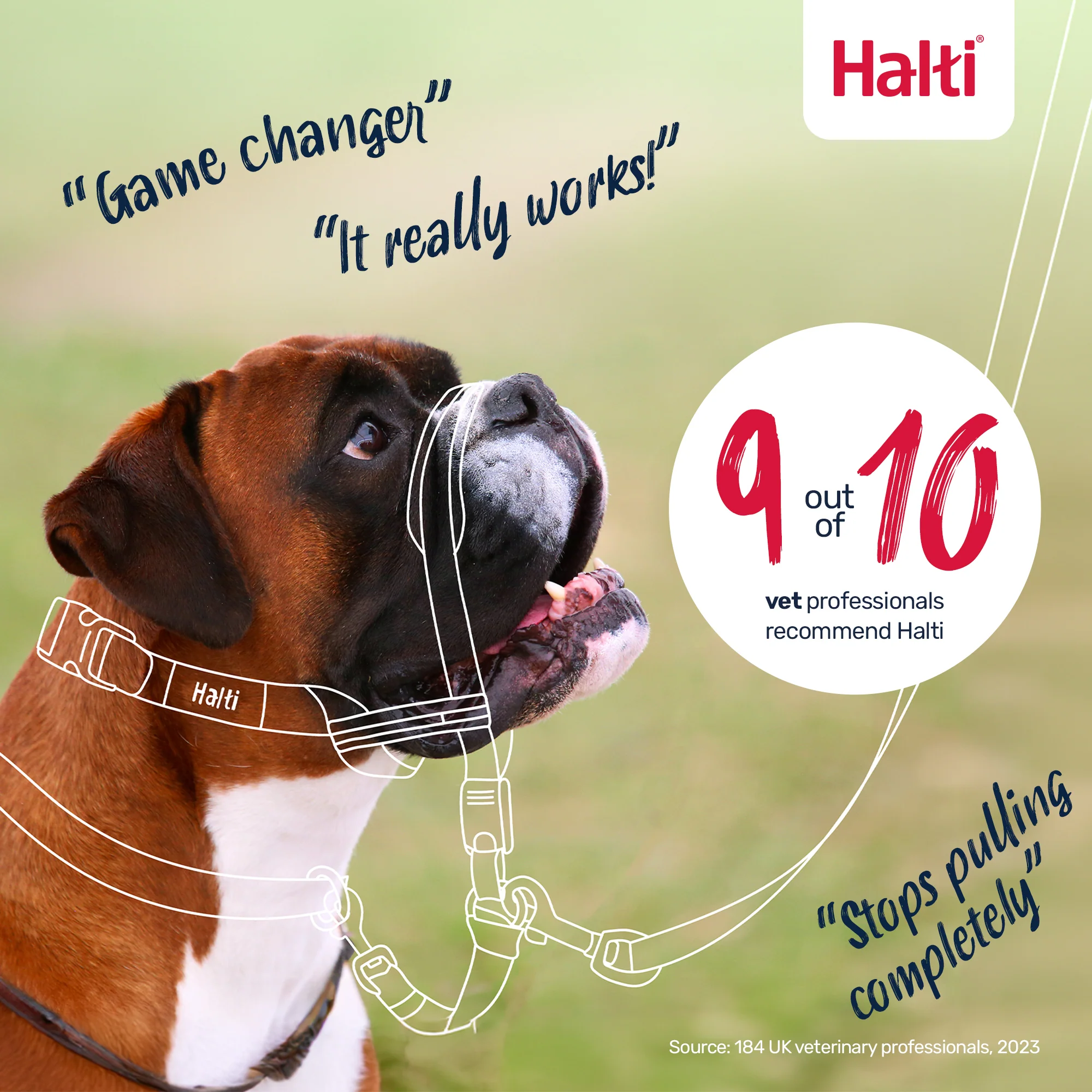Halti Optifit Dog Headcollar - Image 8