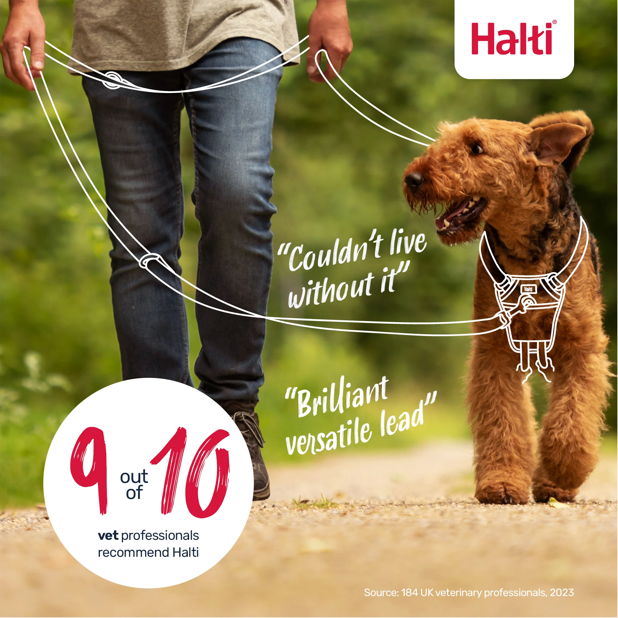 Halti Training Dog Lead (2 sizes/ 2 colours) - Image 15