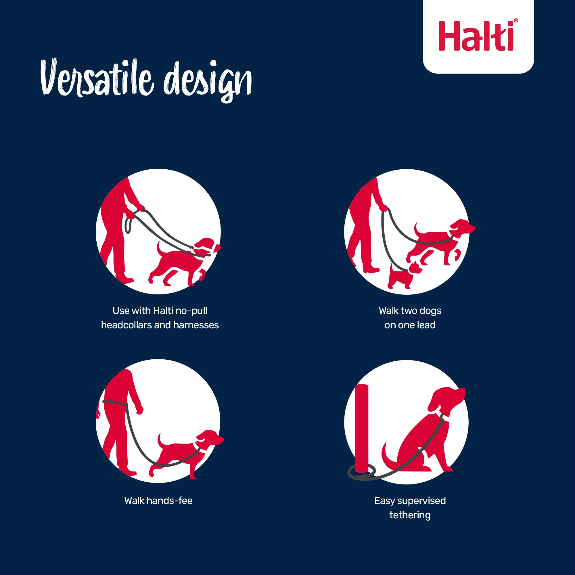 Halti Training Dog Lead (2 sizes/ 2 colours) - Image 4