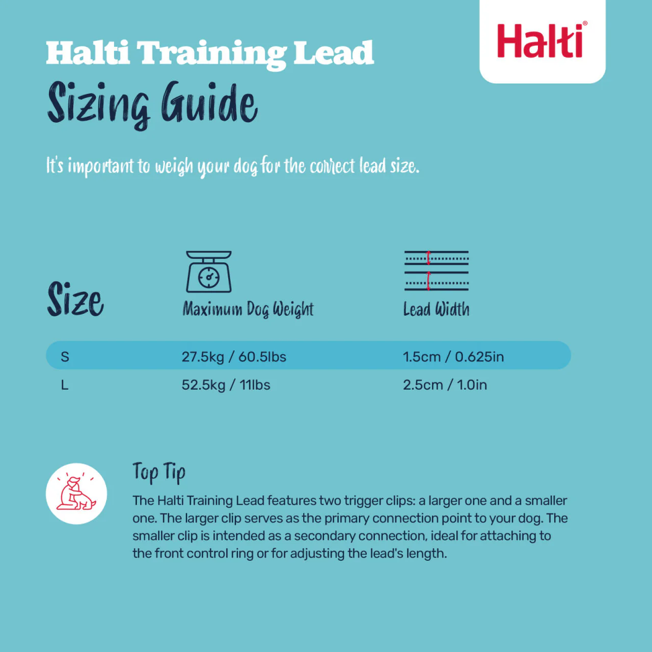 Halti Training Dog Lead (2 sizes/ 2 colours) - Image 5