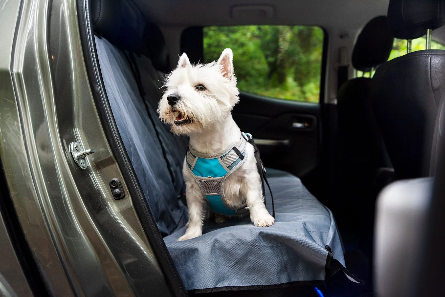 Henry Wag Dog Travel Harness (3 sizes) - Image 8