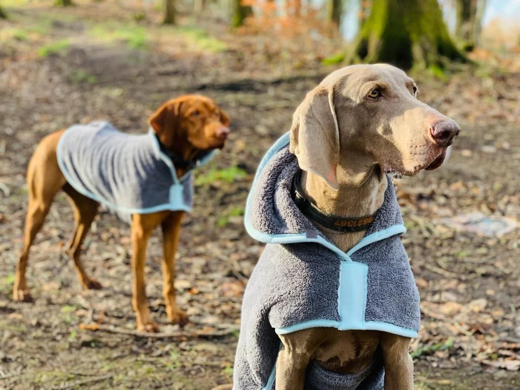 Henry Wag Drying Coat Grey/Blue (5 sizes) - Image 10