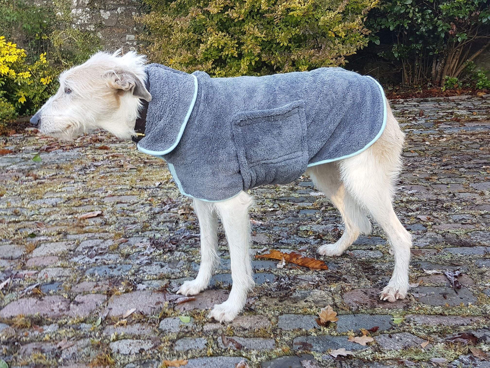 Henry Wag Drying Coat Grey/Blue (5 sizes) - Image 11