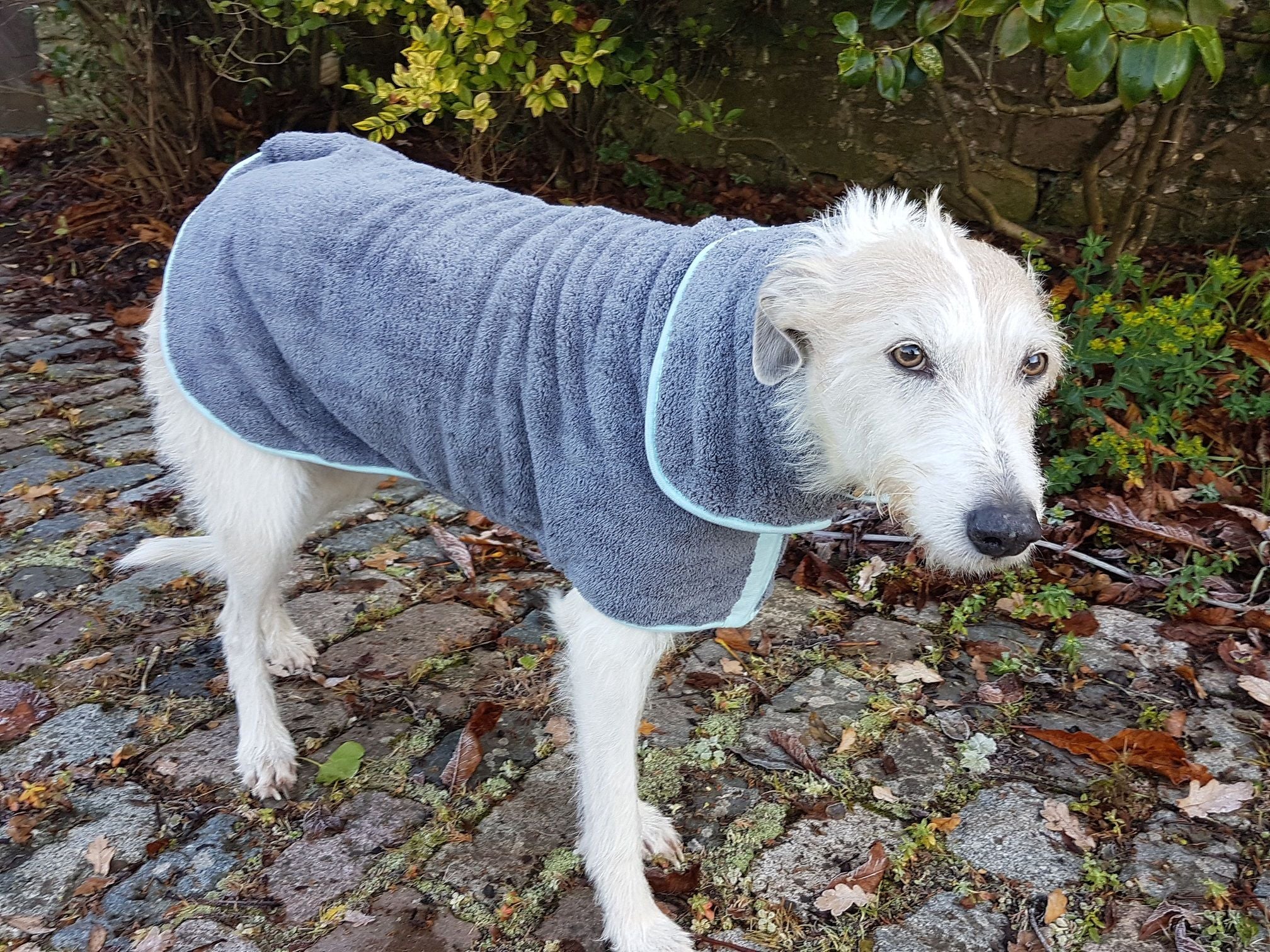 Henry Wag Drying Coat Grey/Blue (5 sizes) - Image 12
