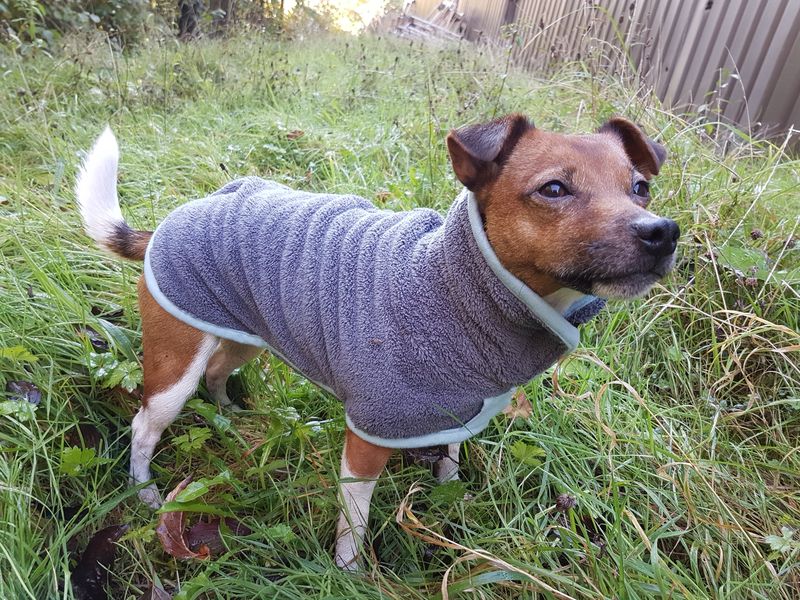 Henry Wag Drying Coat Grey/Blue (5 sizes) - Image 2