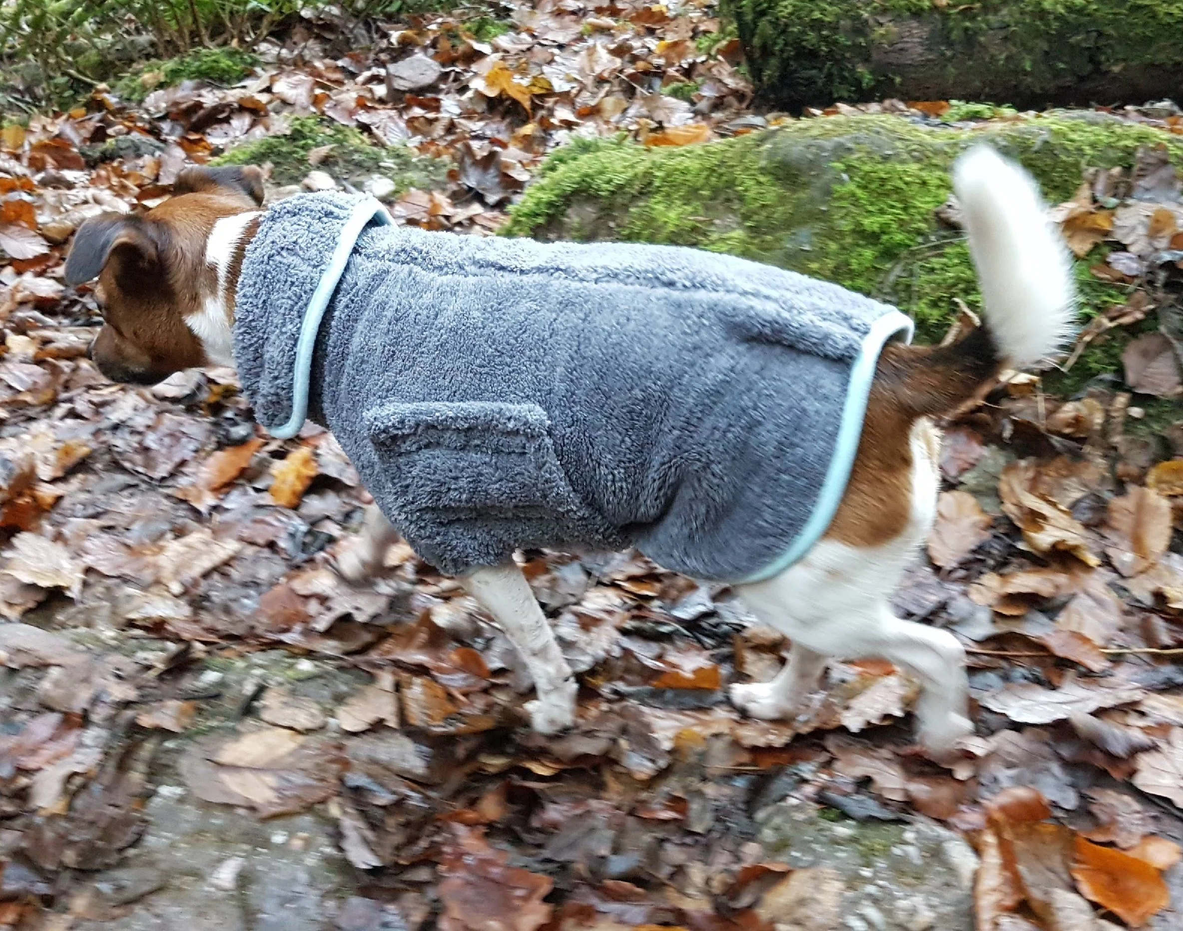Henry Wag Drying Coat Grey/Blue (5 sizes) - Image 3